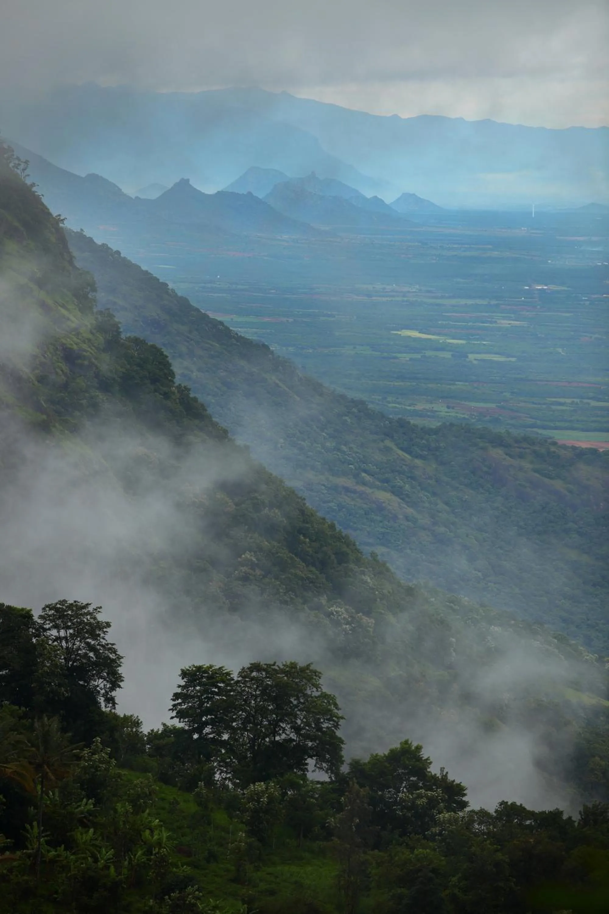 Natural landscape in Hills & Hues
