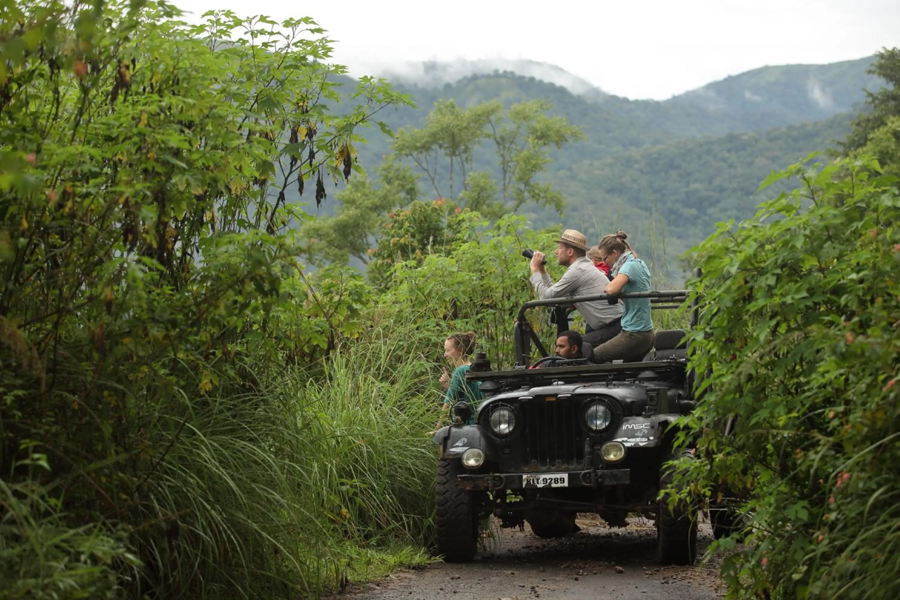 Activities in Hills & Hues