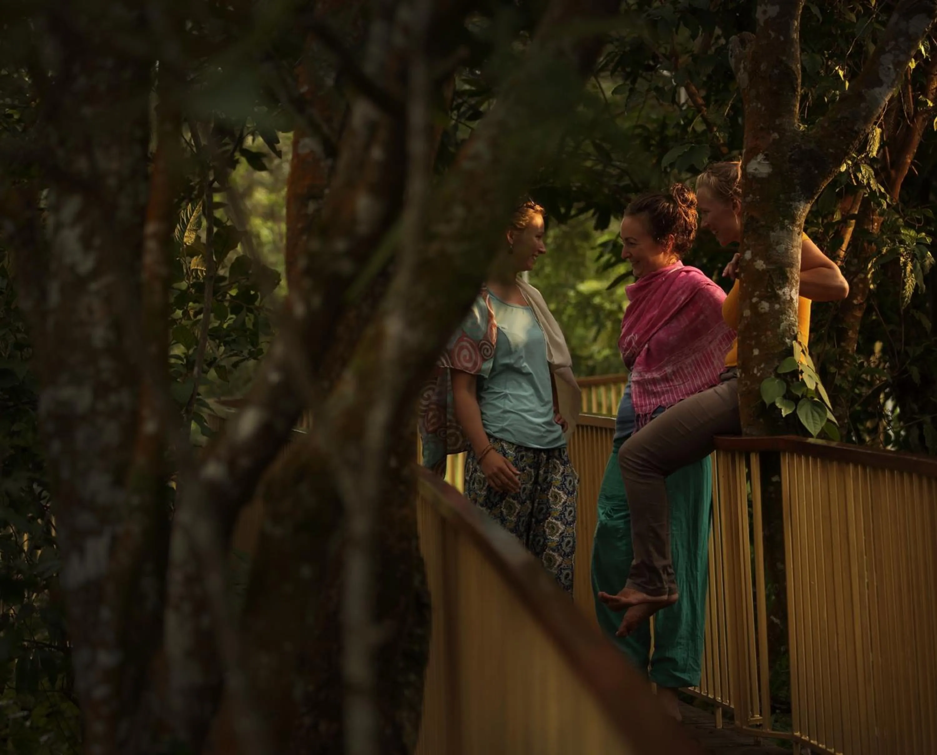 Natural landscape in Hills & Hues