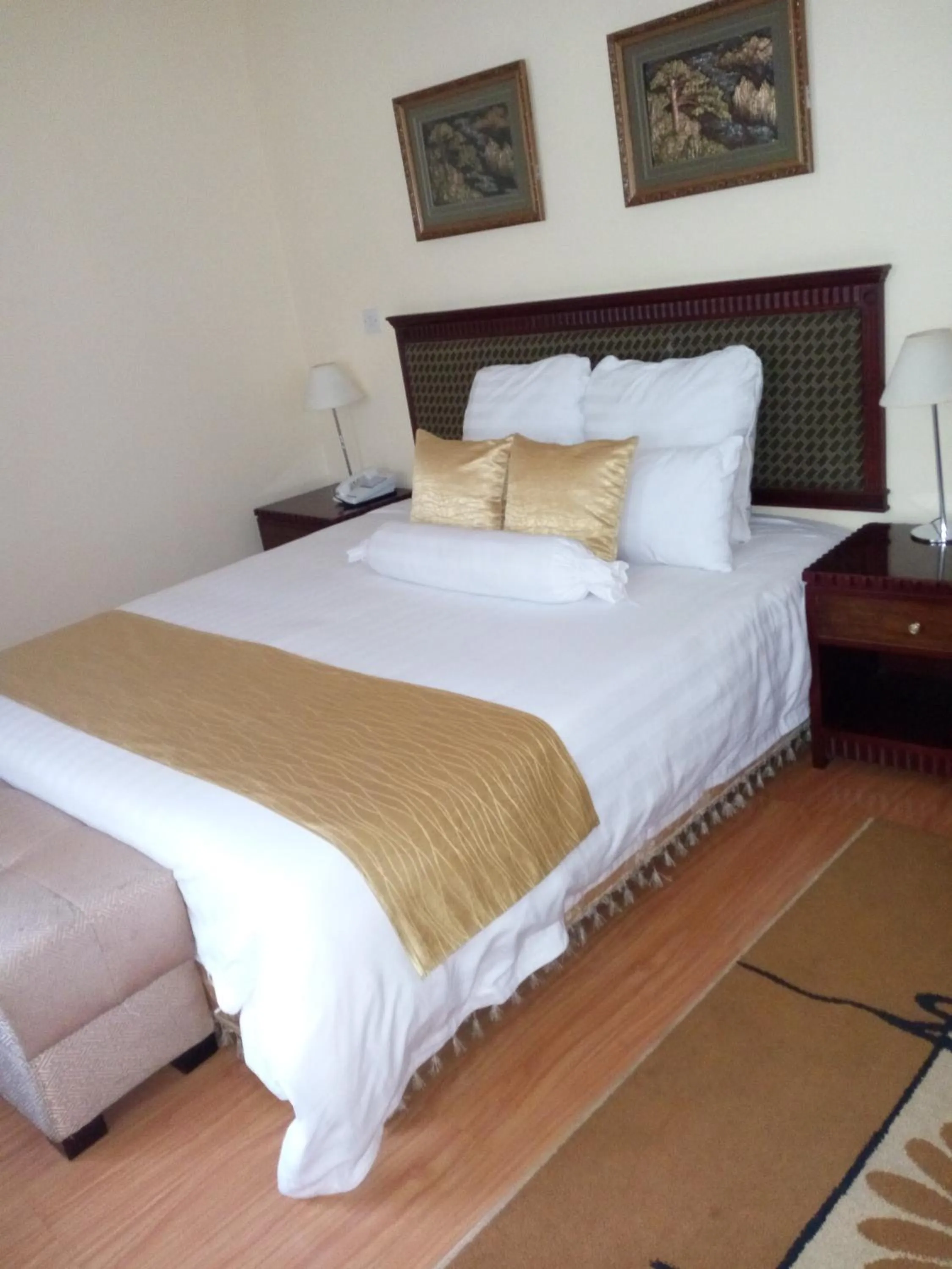 Mountain view in Gold Crest Hotel - Arusha