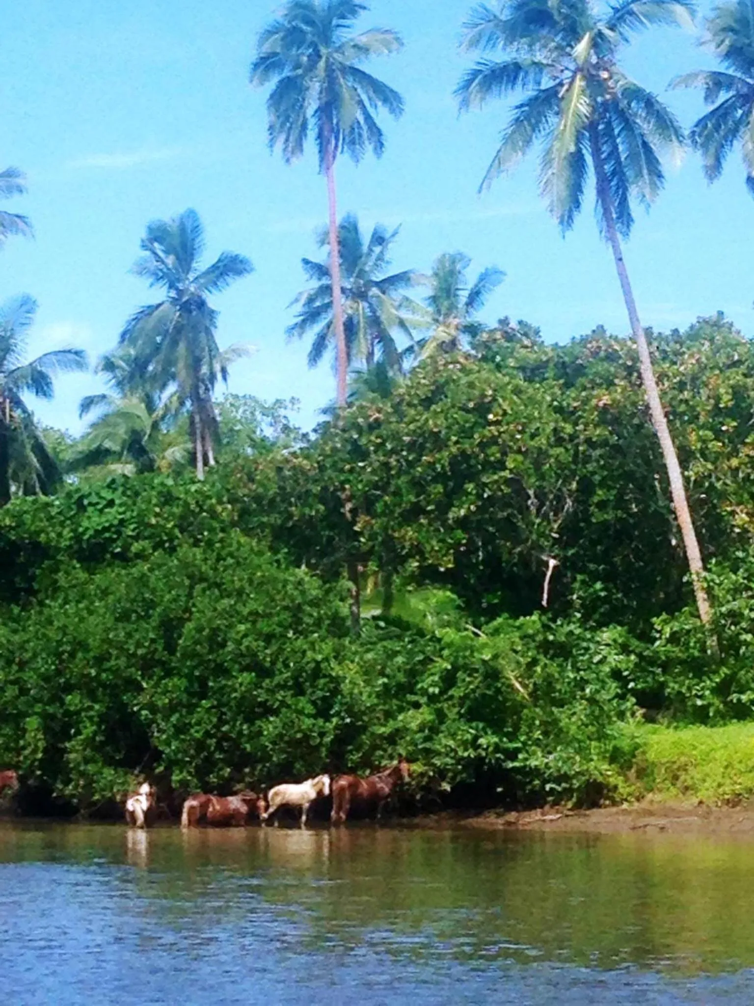 Day in Naveria Heights Lodge