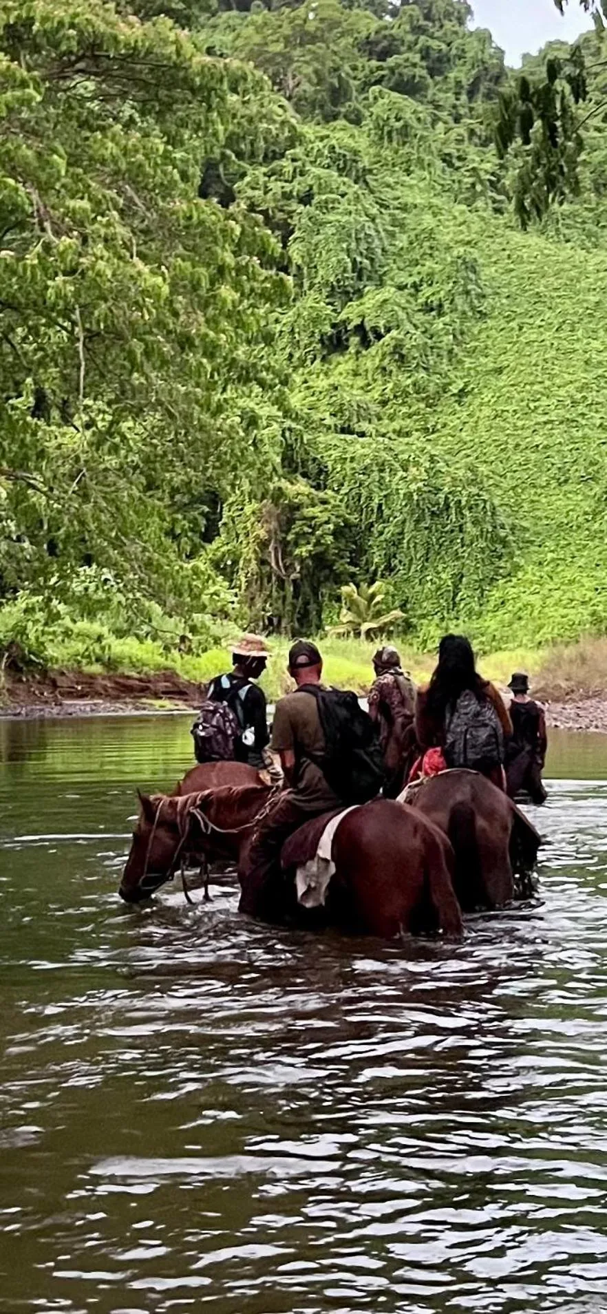 Naveria Heights Lodge