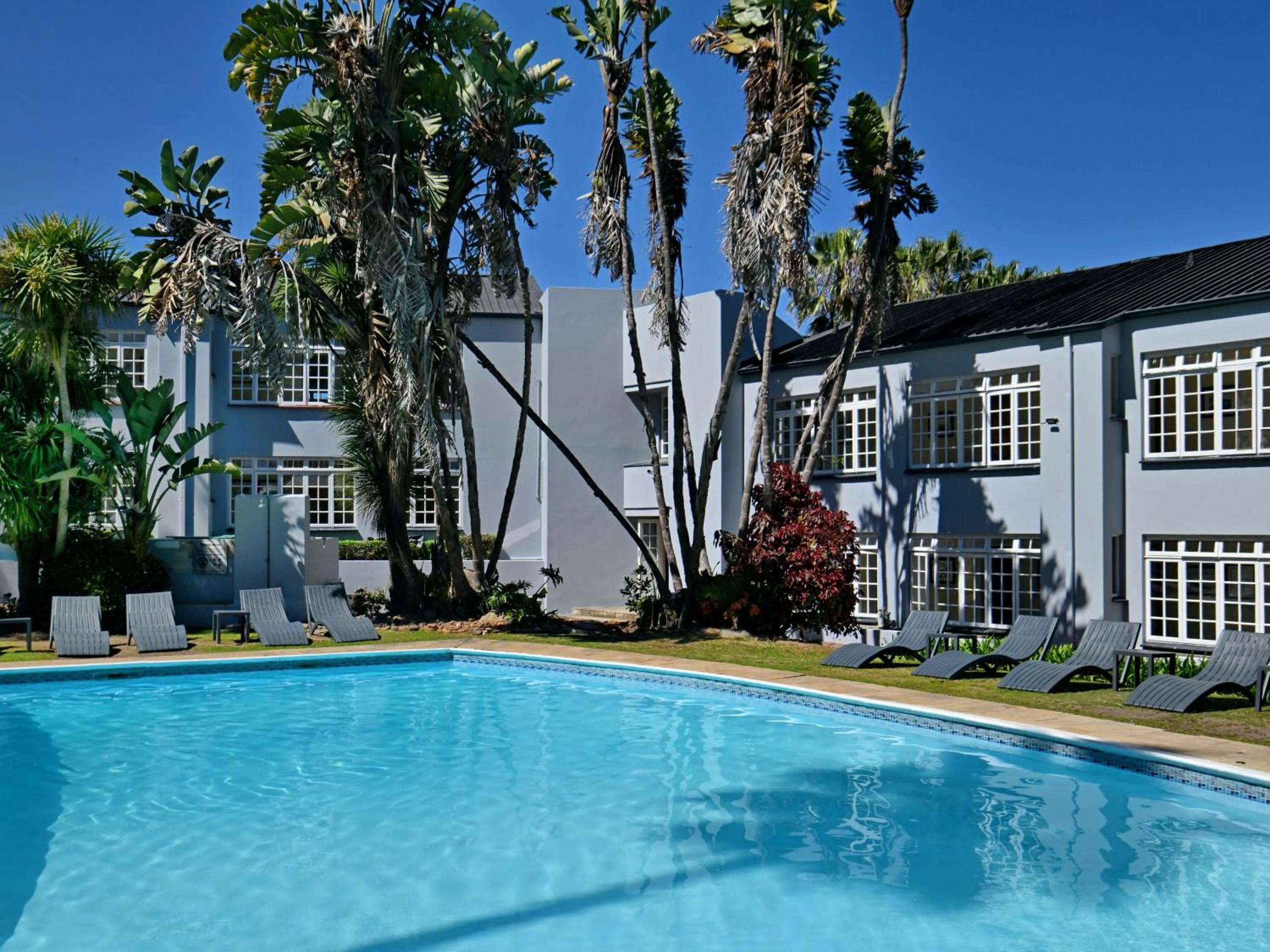 Swimming pool in ANEW Resort Wilderness Garden Route