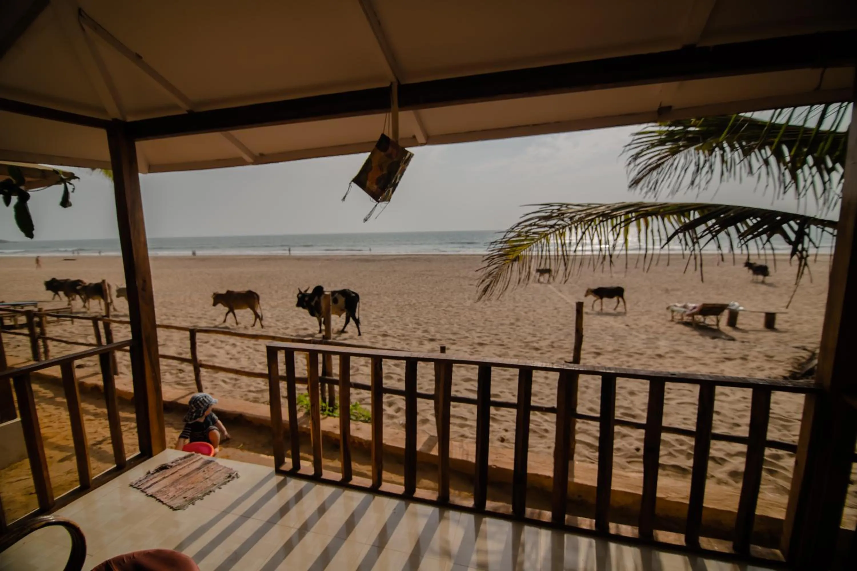 Sea view in Jardim a Mar