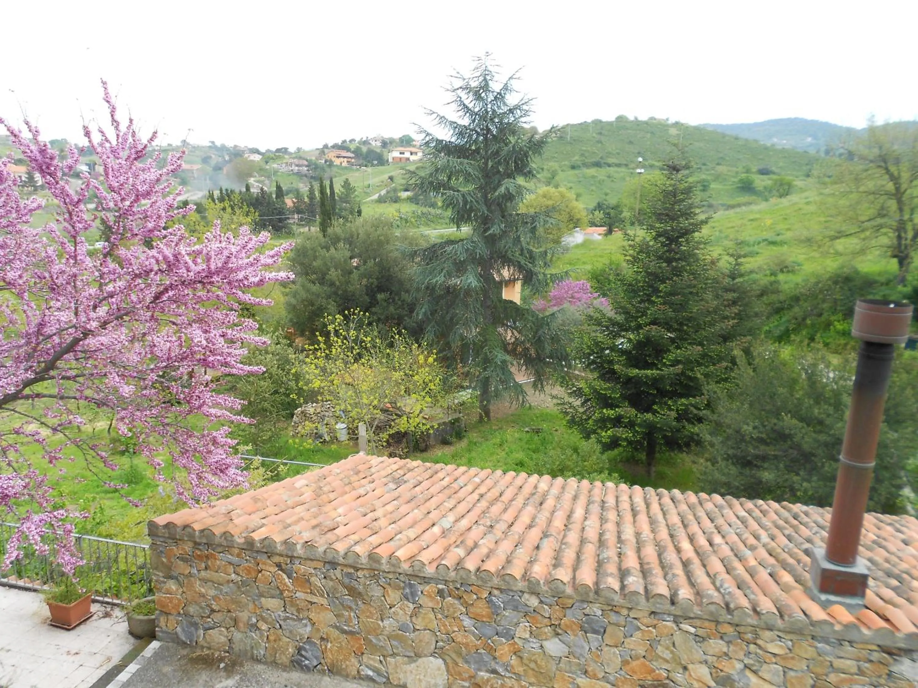 Property building in B&B Salighes