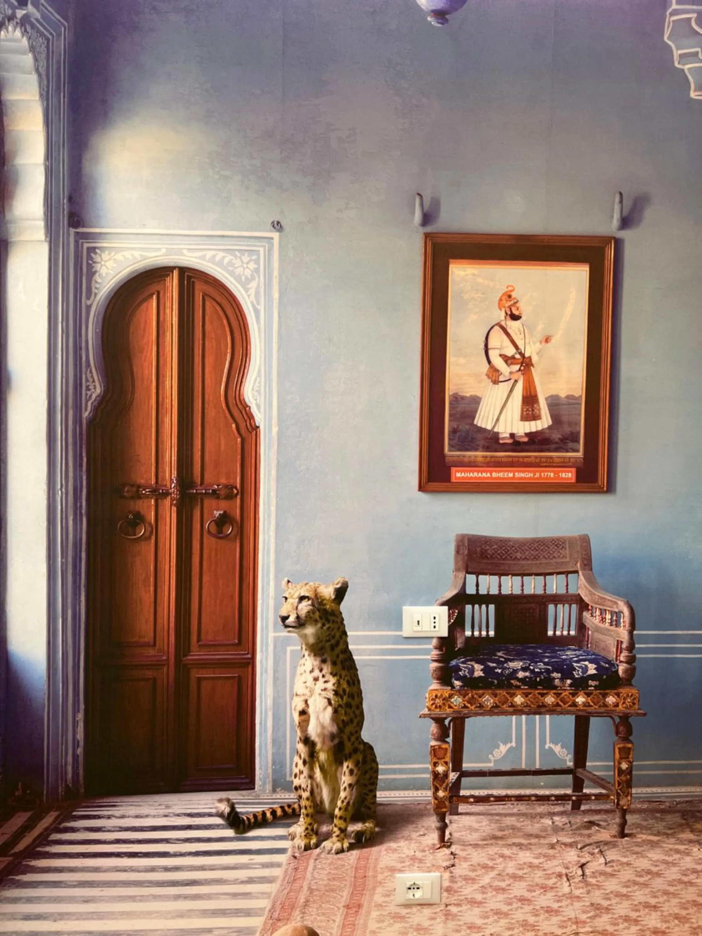 Decorative detail in Trevi Elite Rome