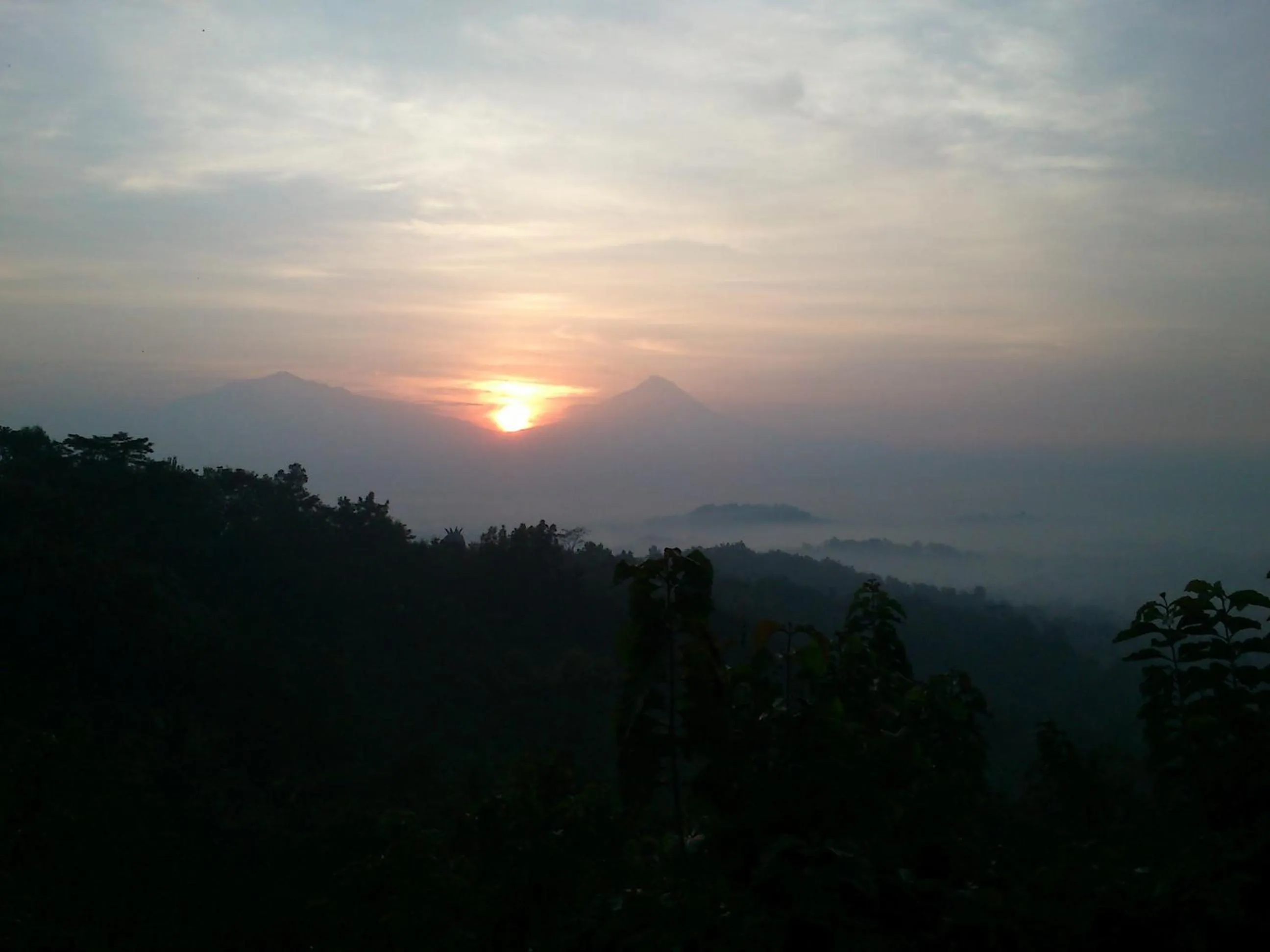 Natural landscape in Griya Harja Homestay