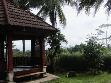 Garden in Griya Harja Homestay