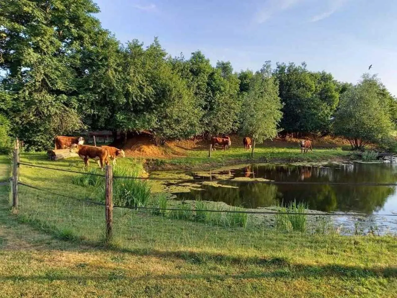 Natural landscape in Boertel Lamperse Hei