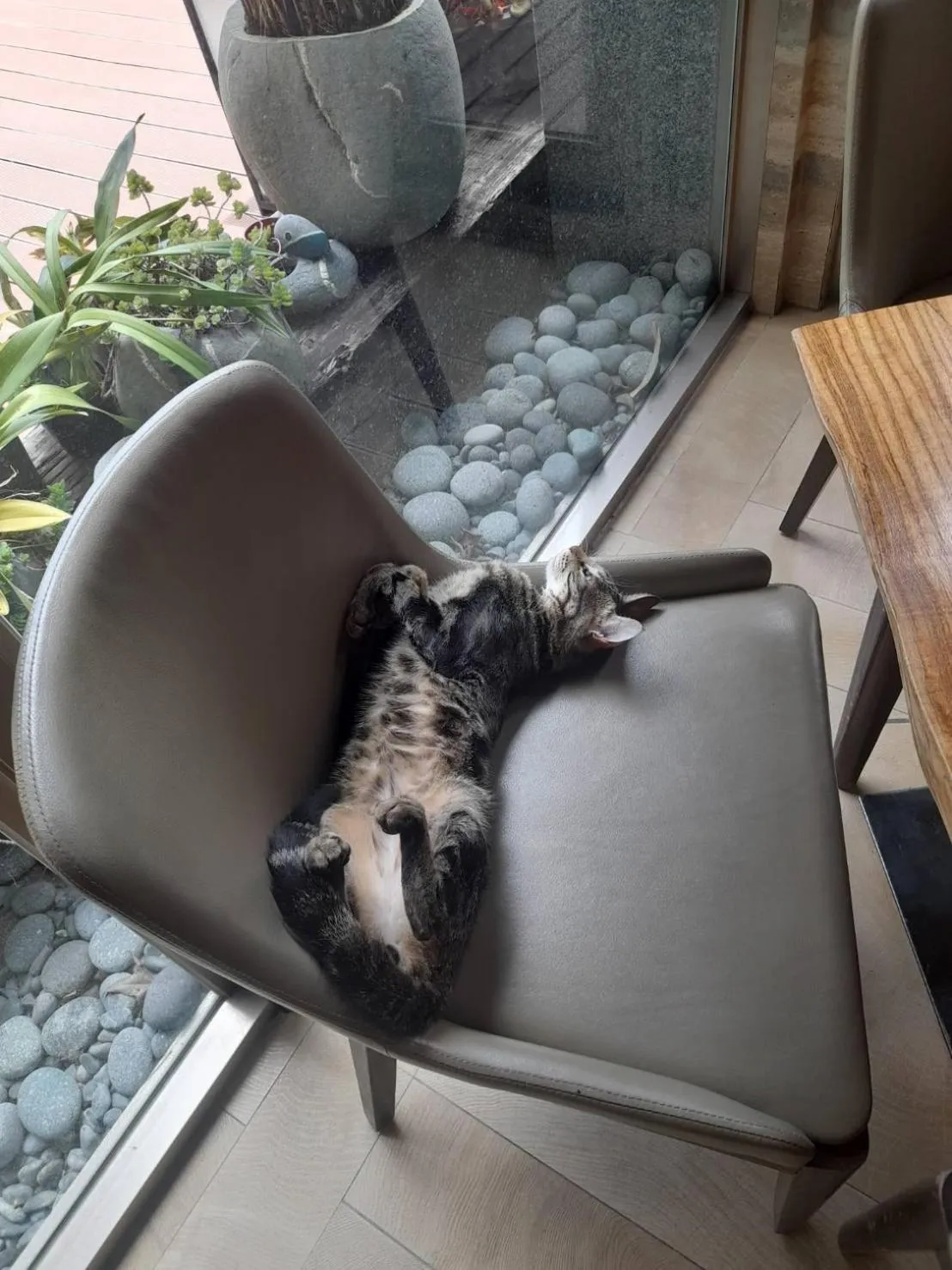 pet friendly in Taroko Liiko Hotels