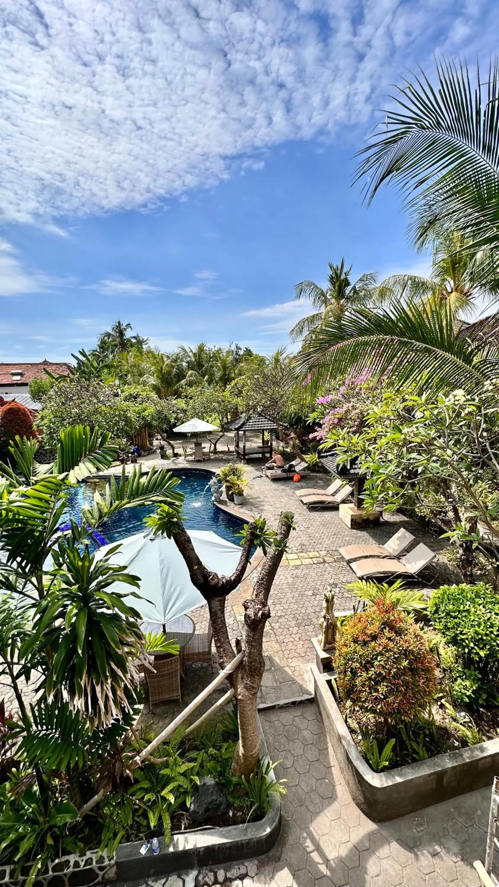 View (from property/room) in Puri Bali Hotel