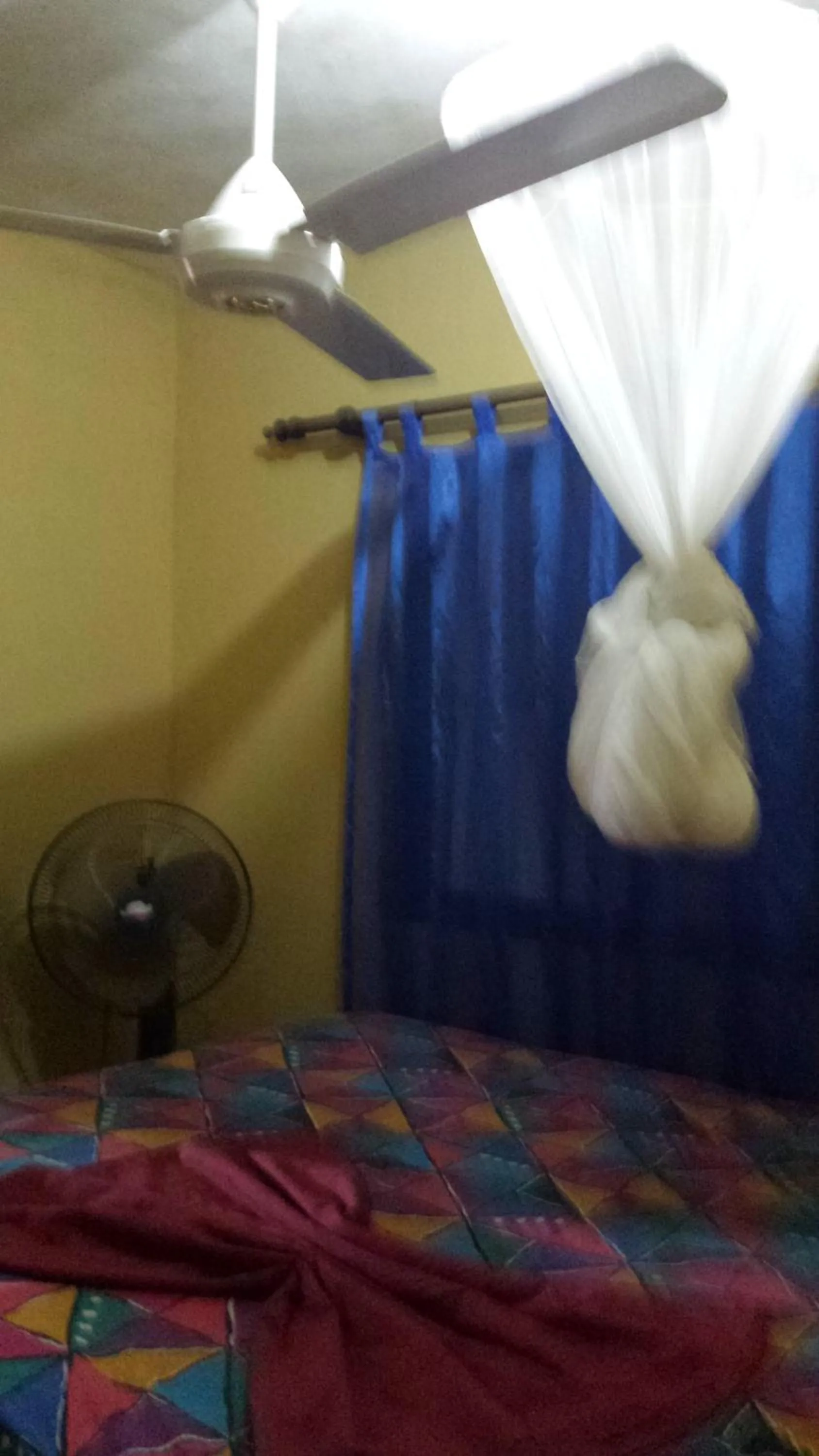 Decorative detail, Bed in B&B KeisyAlba Punta Rucia