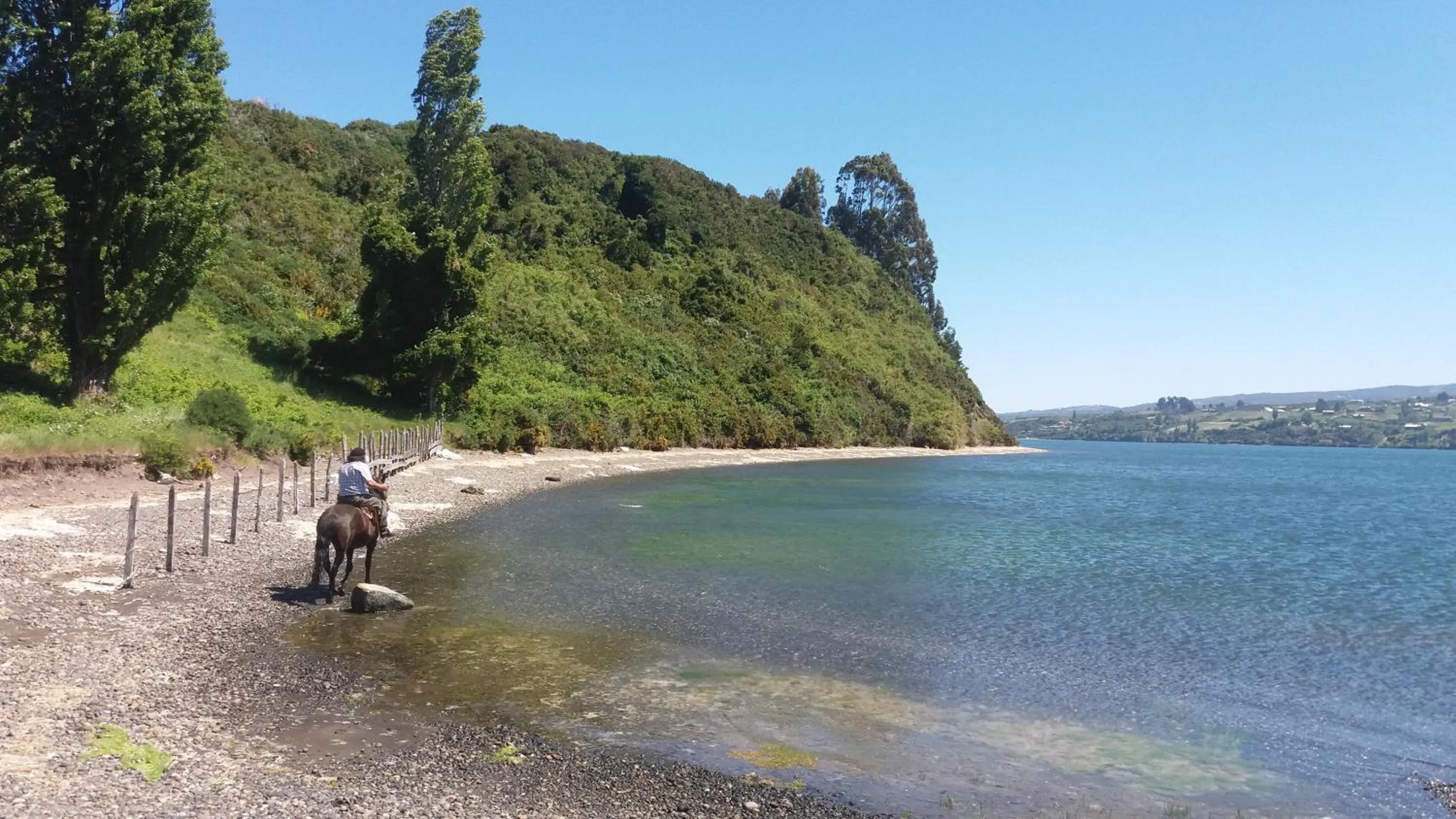 Sea view in Refugio Pullao