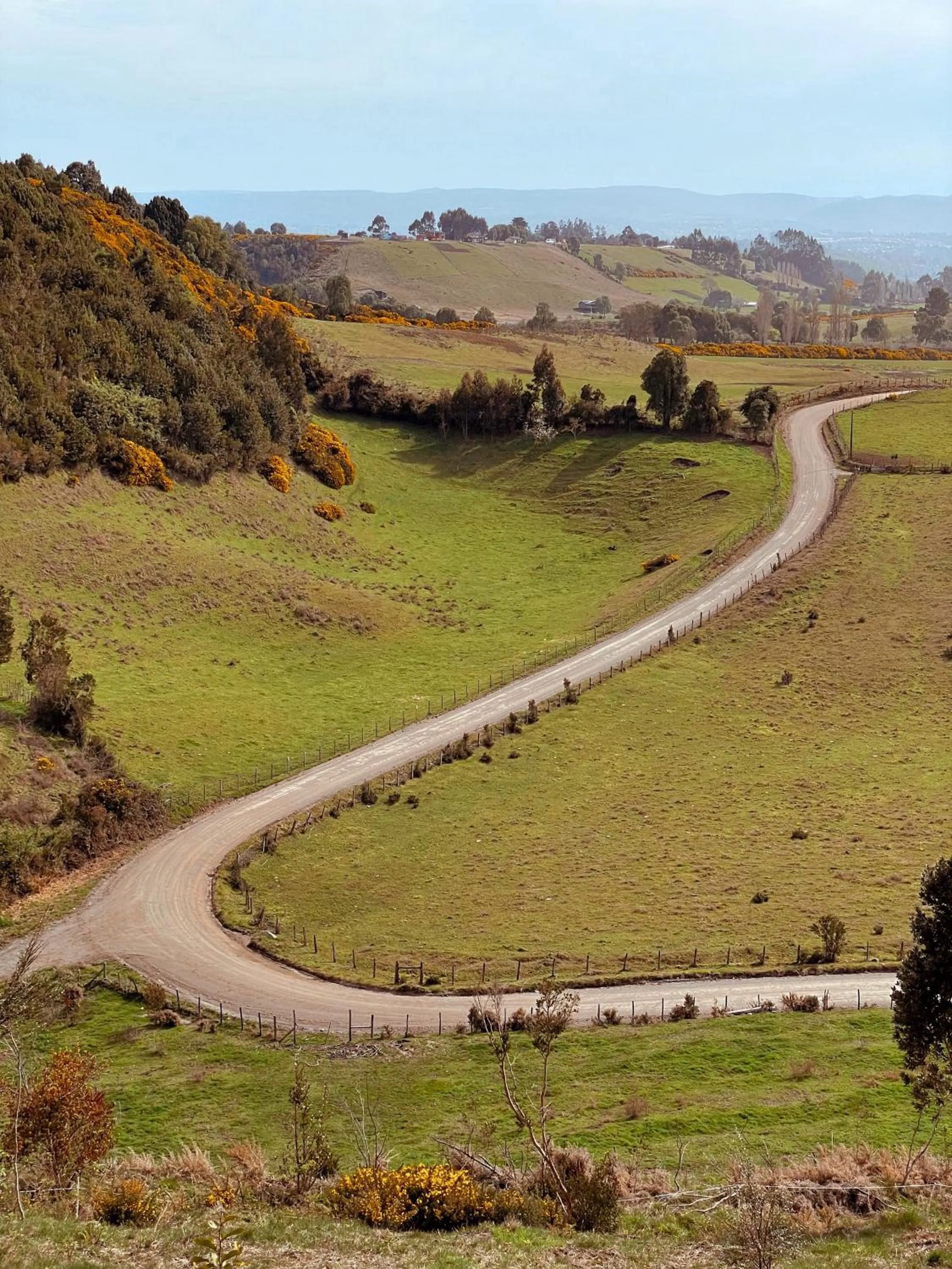 Natural landscape in Refugio Pullao