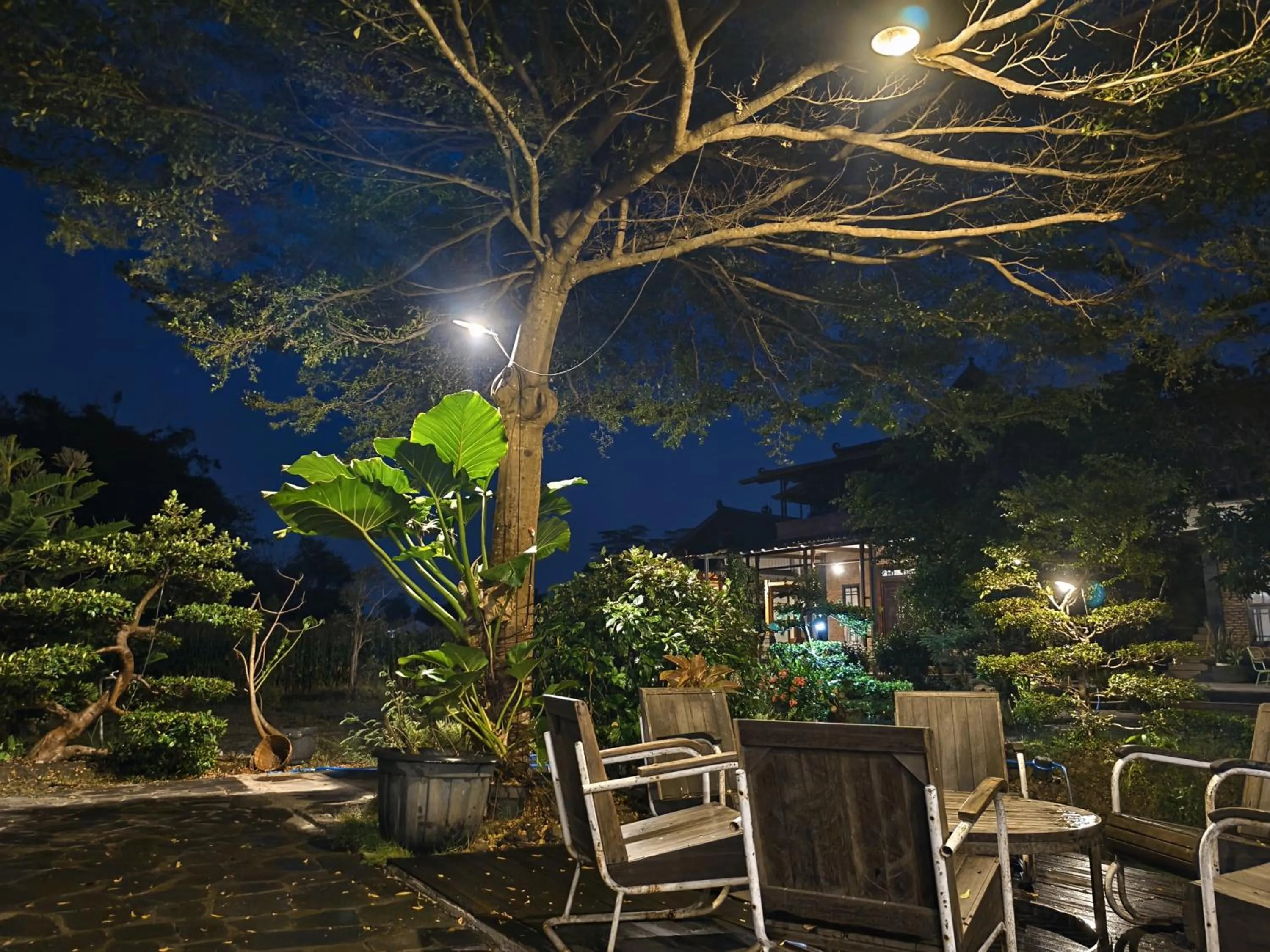 Night in Lotus 2 Guest House