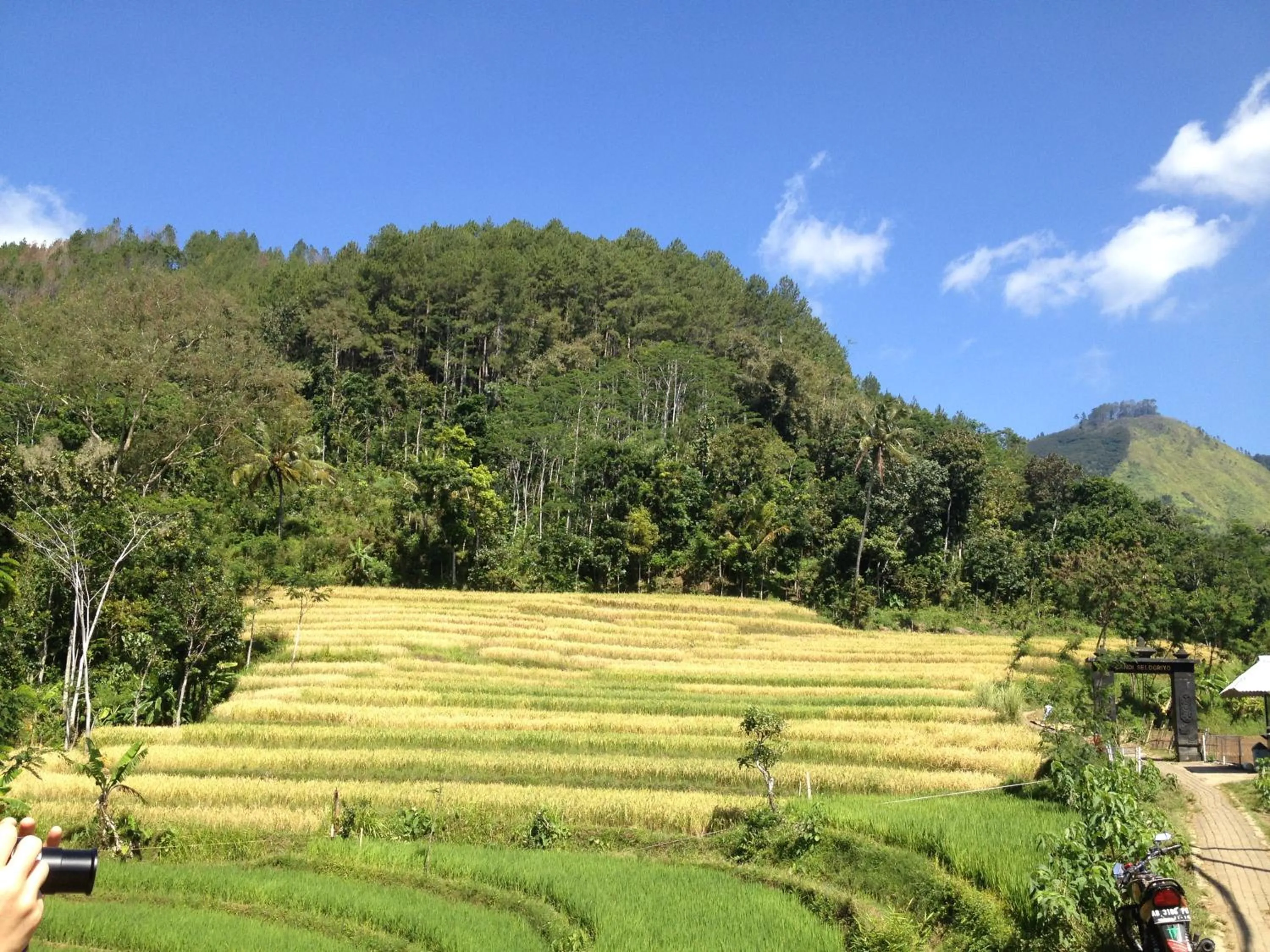 Nearby landmark in Lotus 2 Guest House