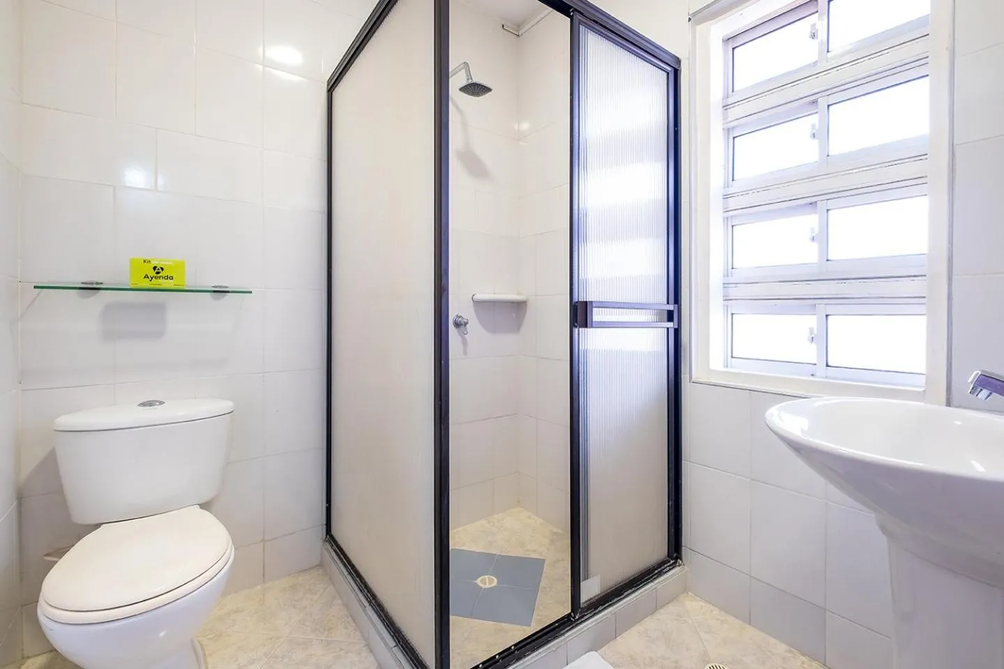 Ayenda 1502 Principe