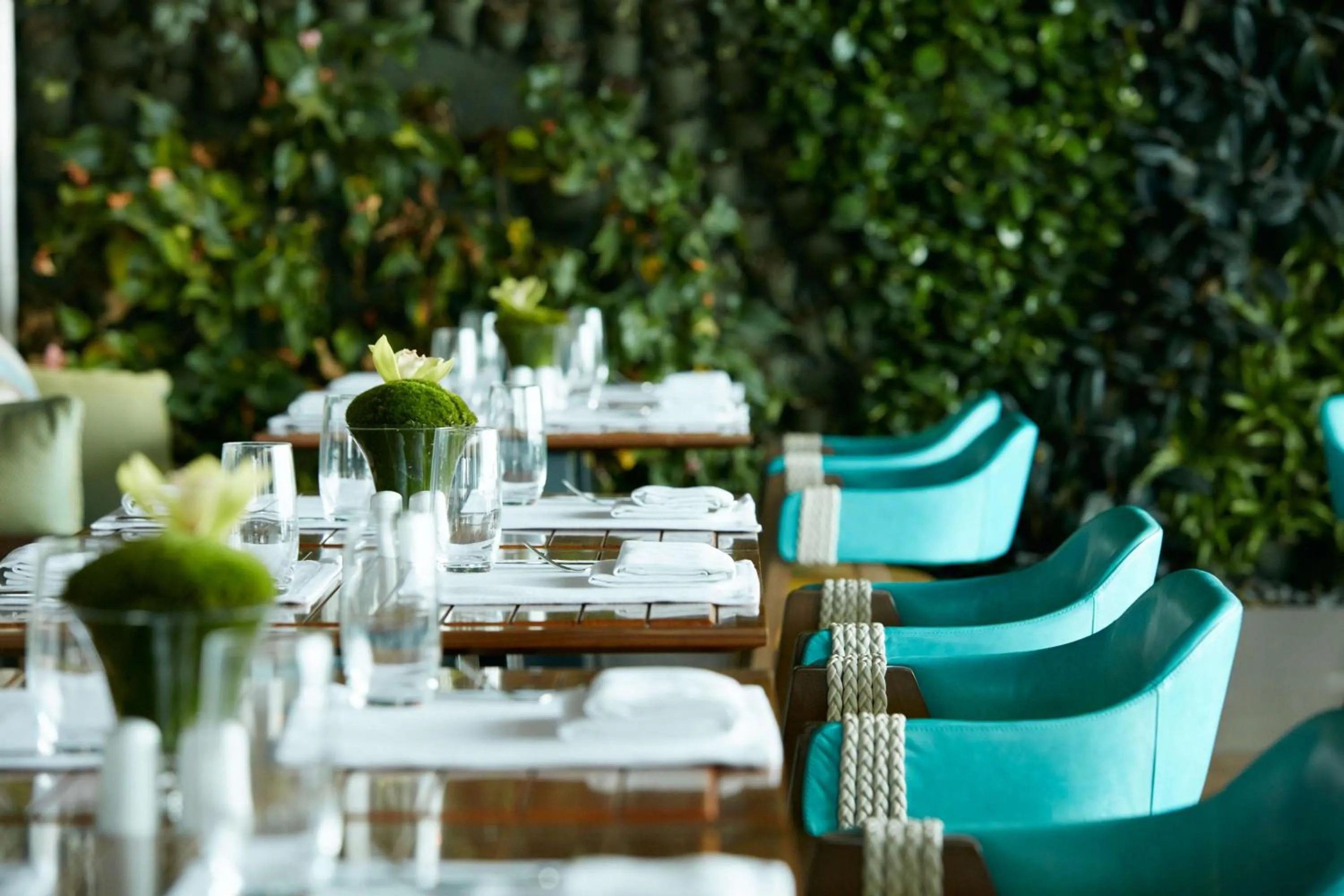 Restaurant/places to eat in Suning Galaxy International Hotel Wuxi