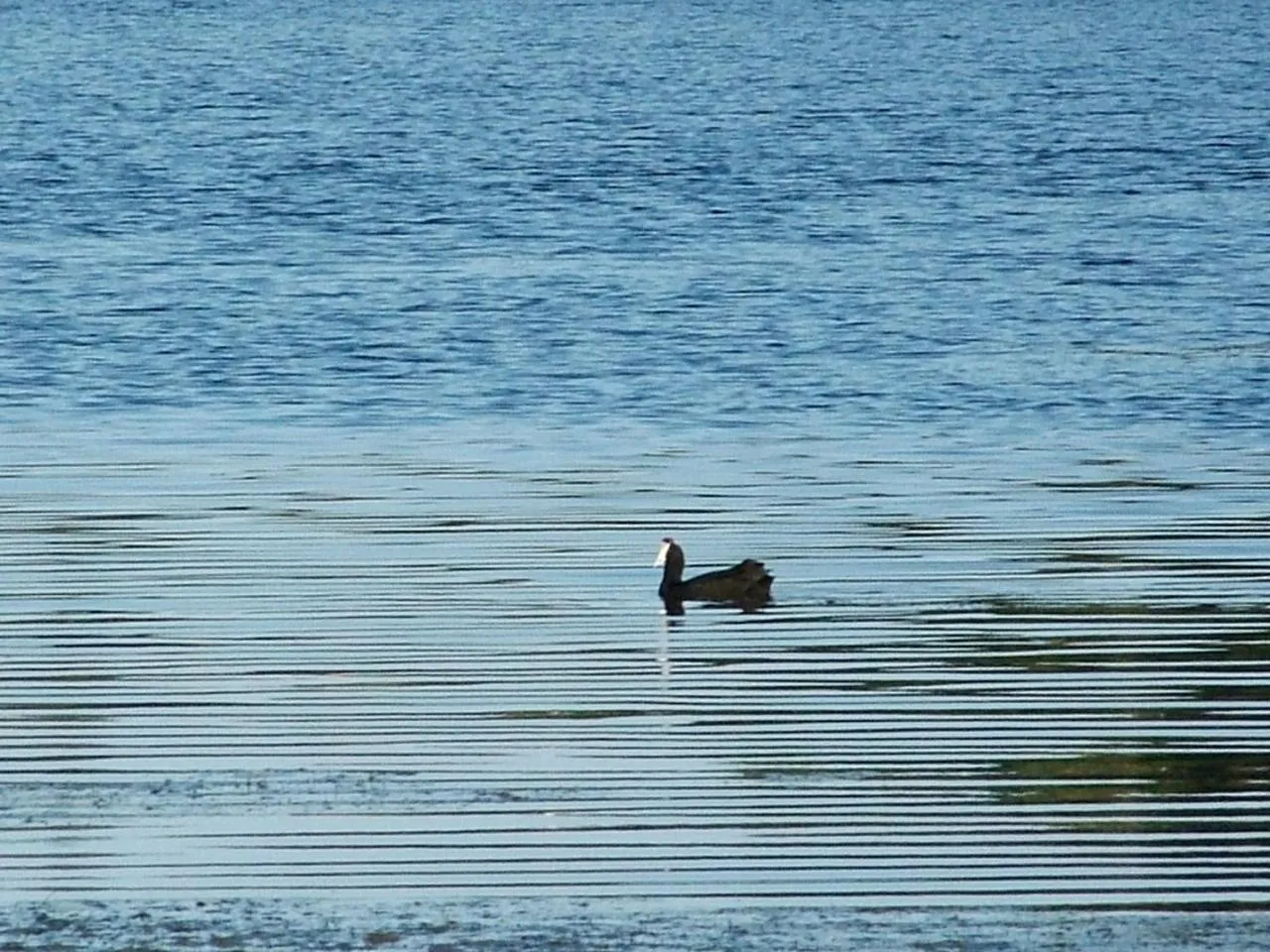 Day in Mont Fleur B&B