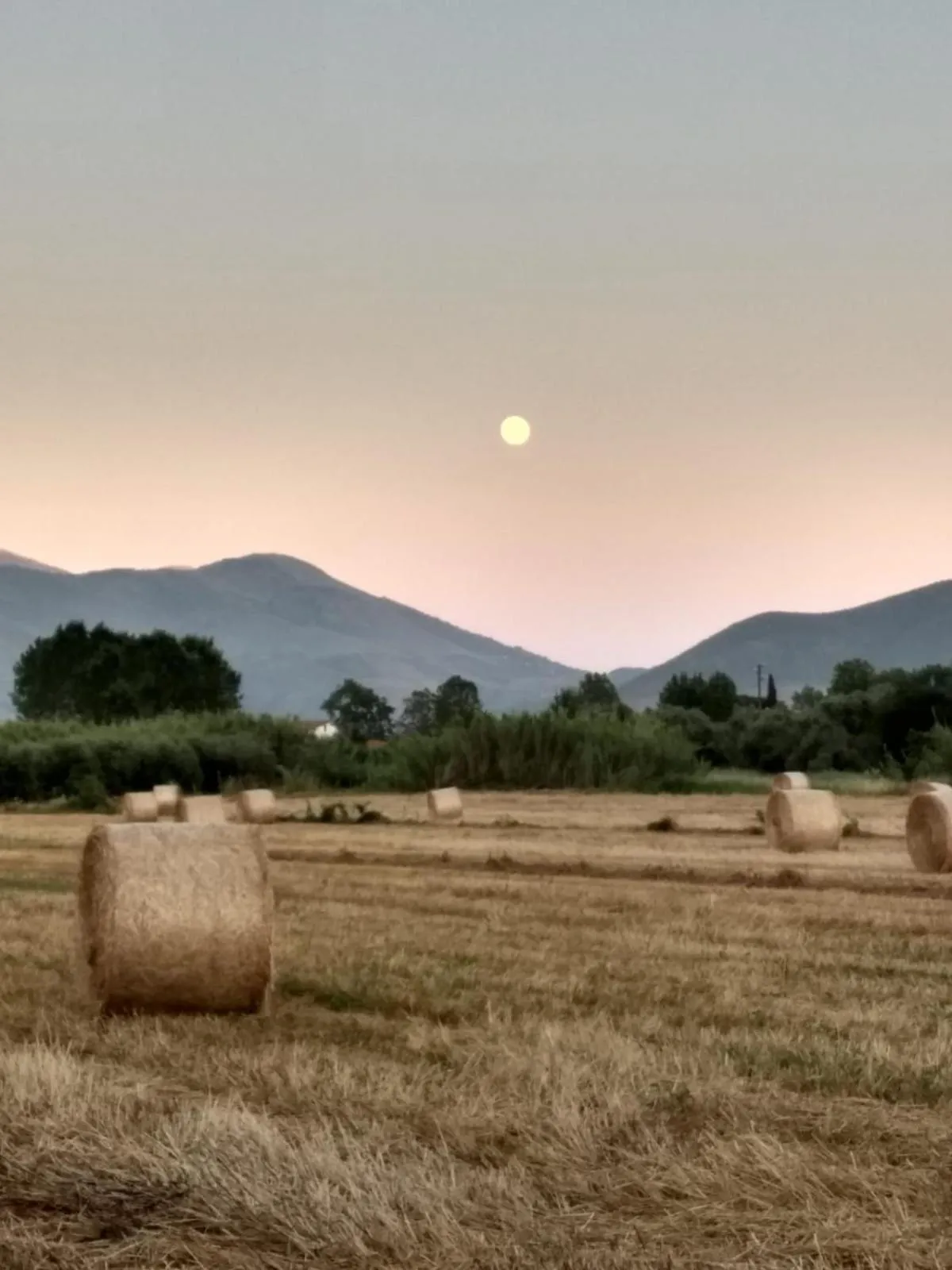 Il Giardino delle Zagare