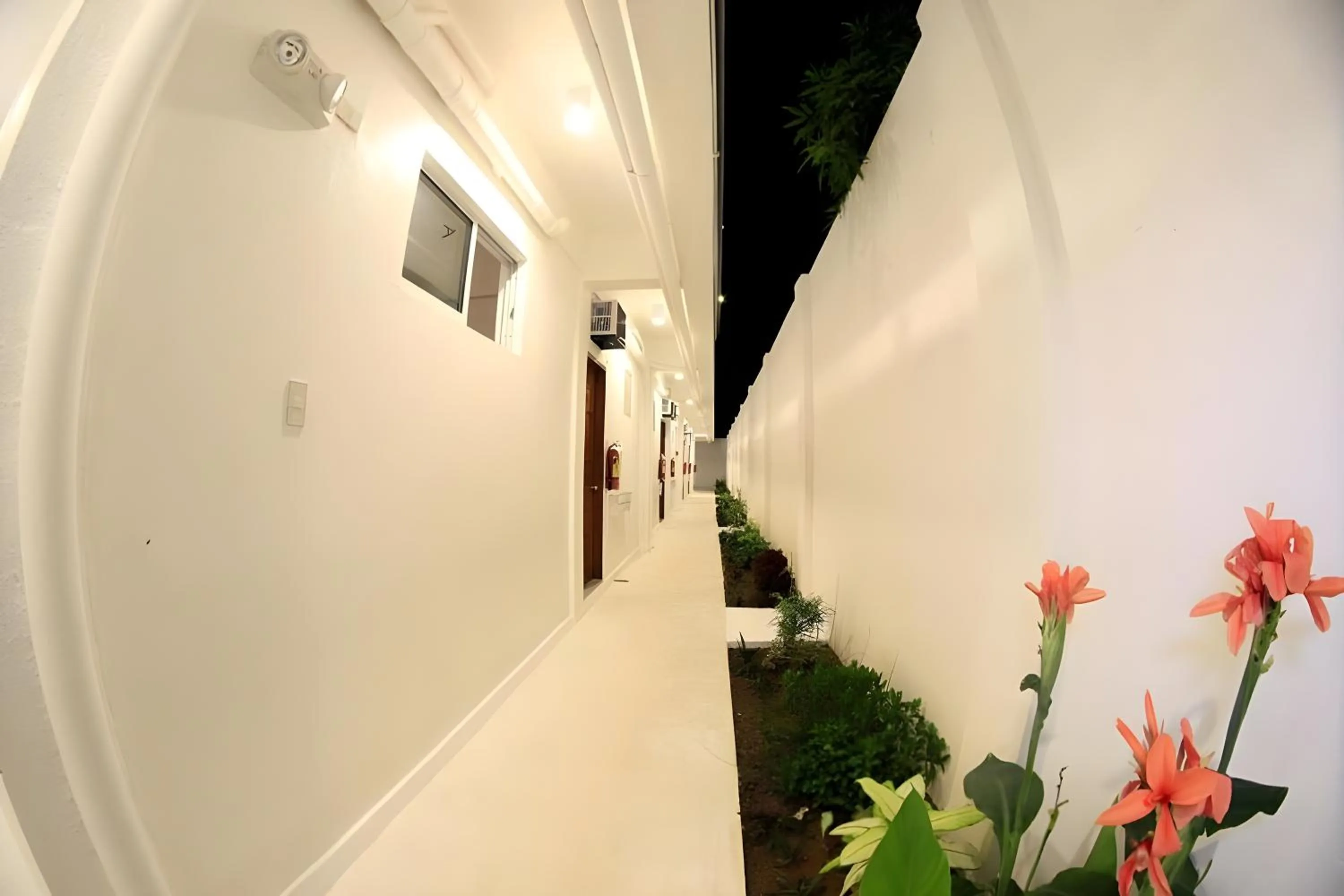 Property building in Coron Bluewave Hotel