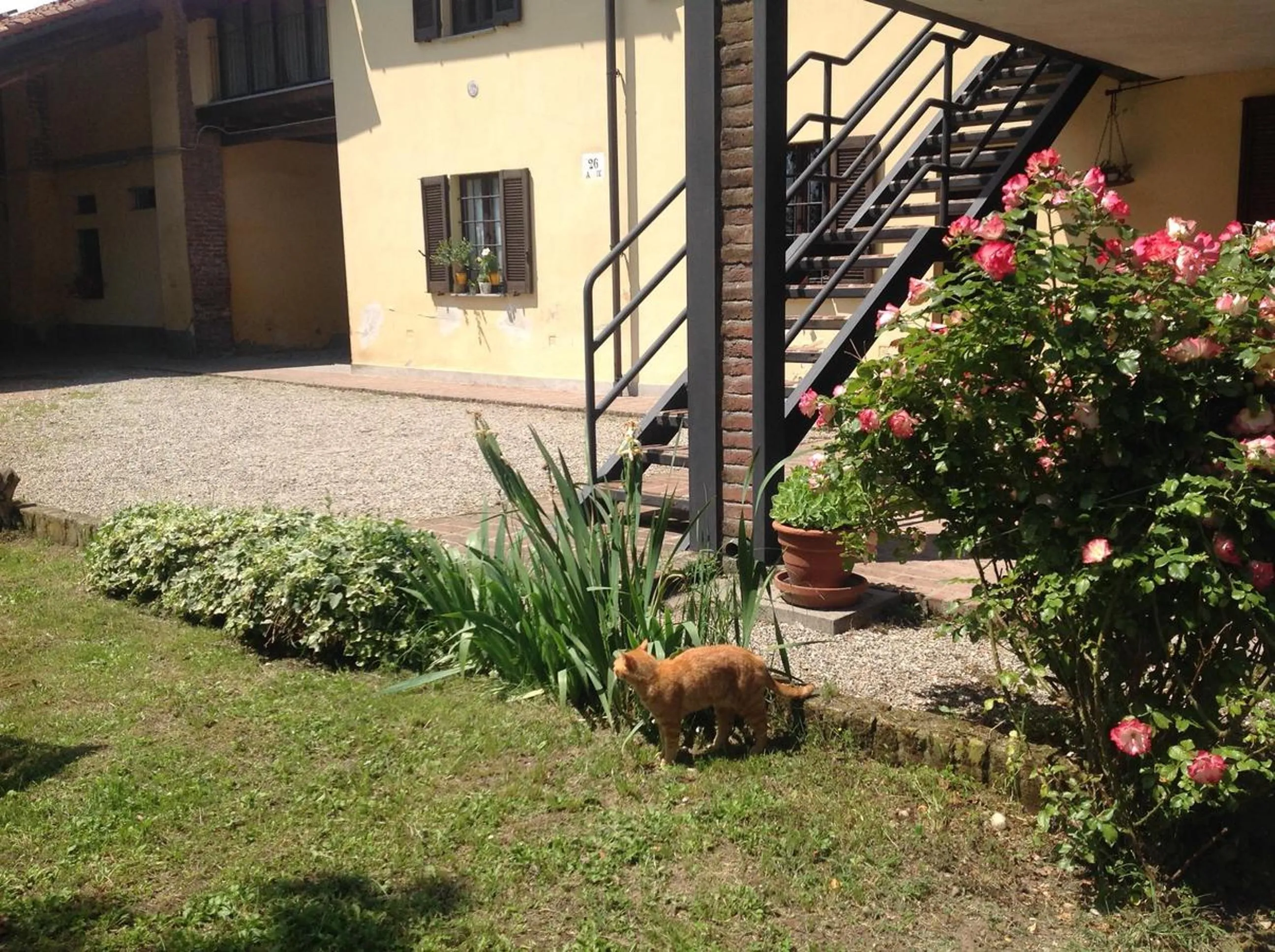 Facade/entrance in Agriturismo La Morosina