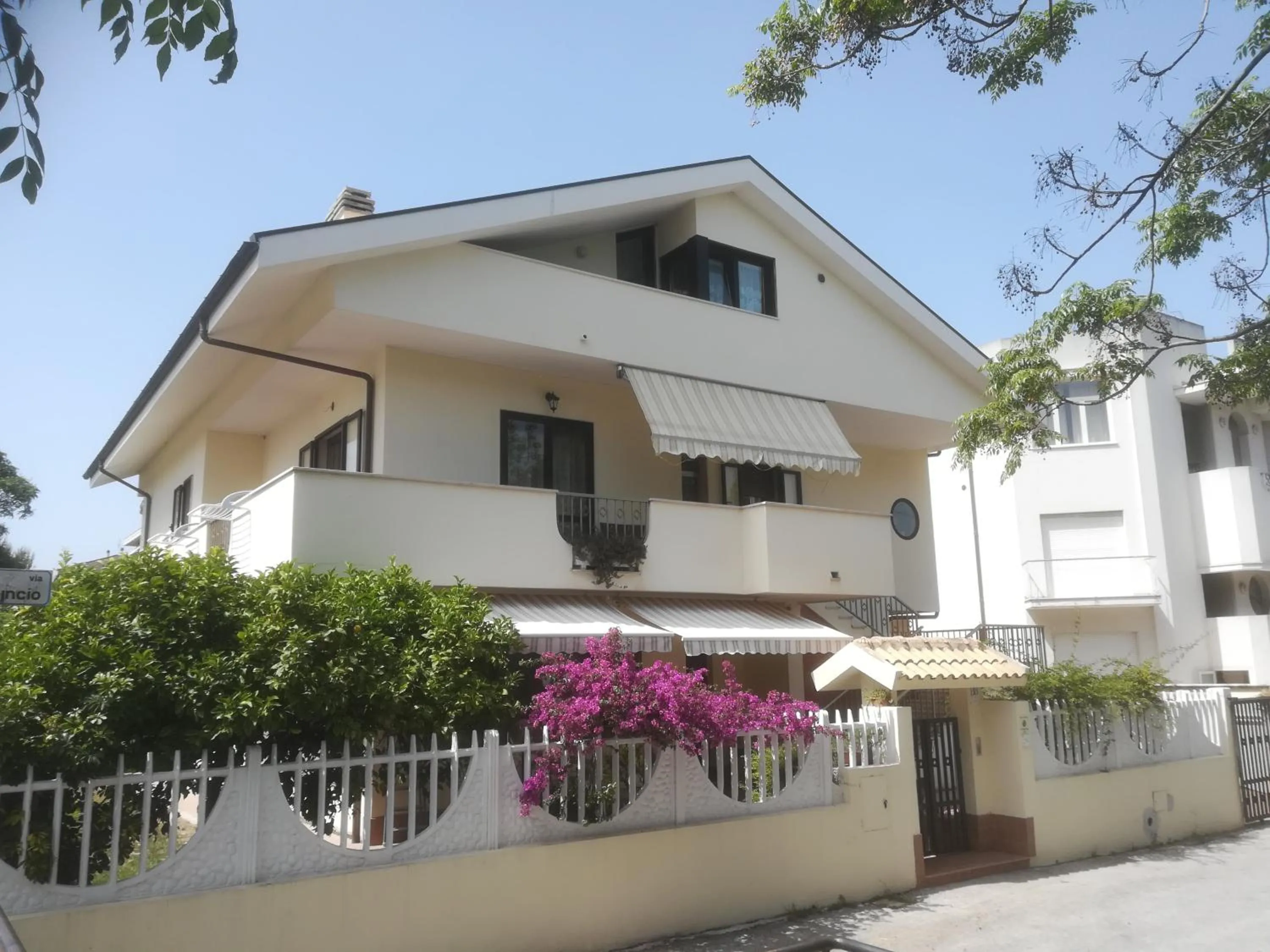 Il Cavalluccio Marino