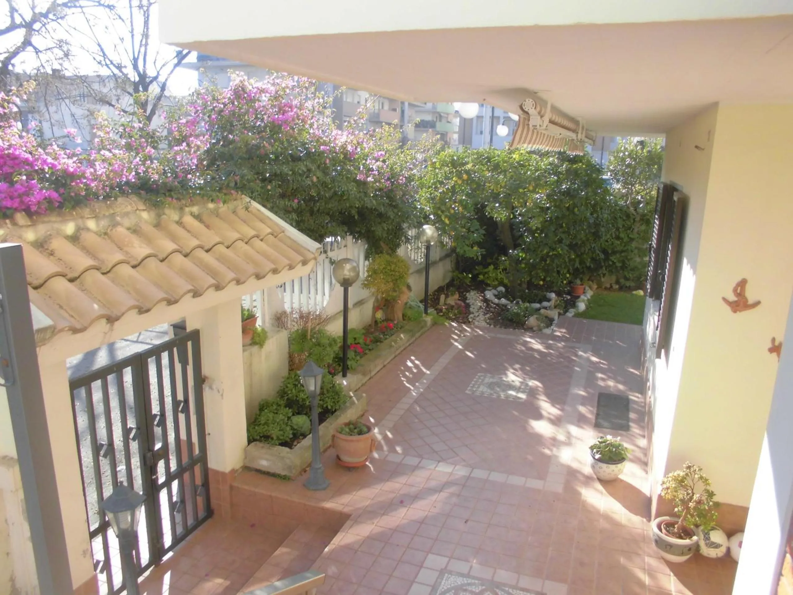 Garden in Il Cavalluccio Marino