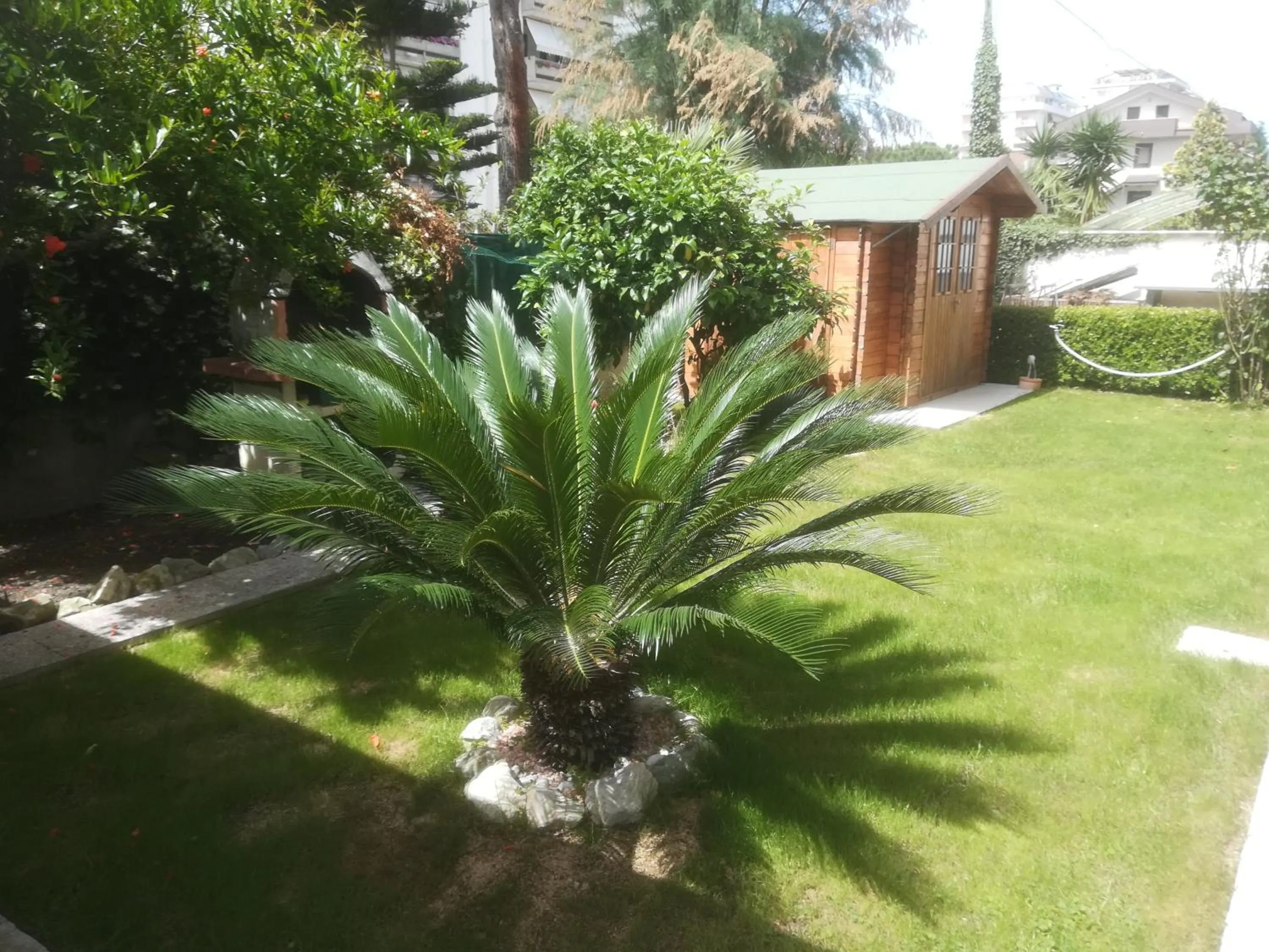 Garden view in Il Cavalluccio Marino