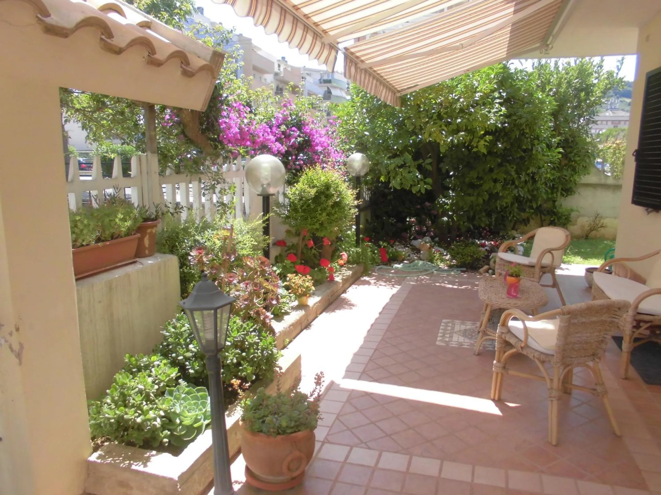 Garden in Il Cavalluccio Marino