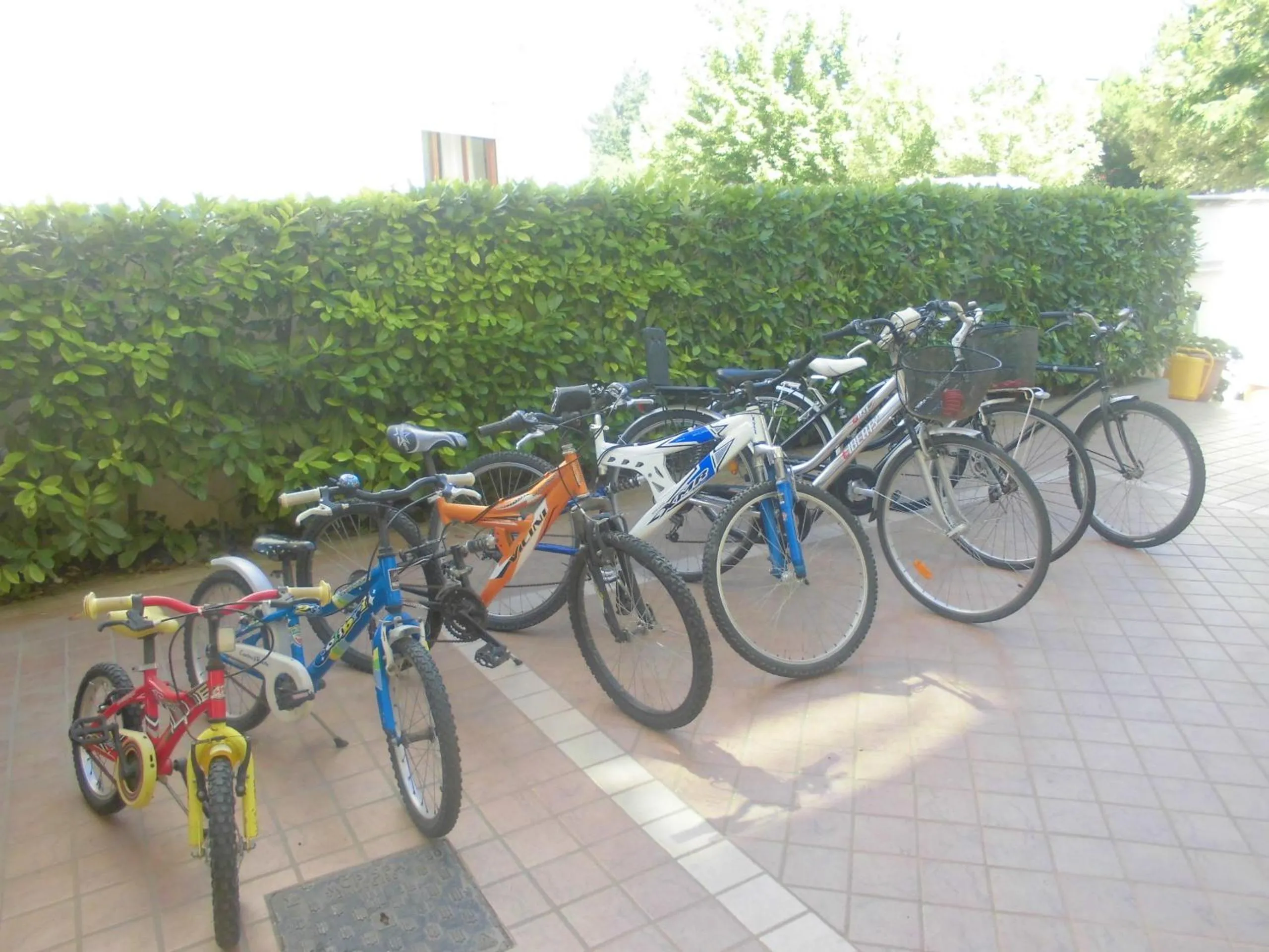 Activities in Il Cavalluccio Marino