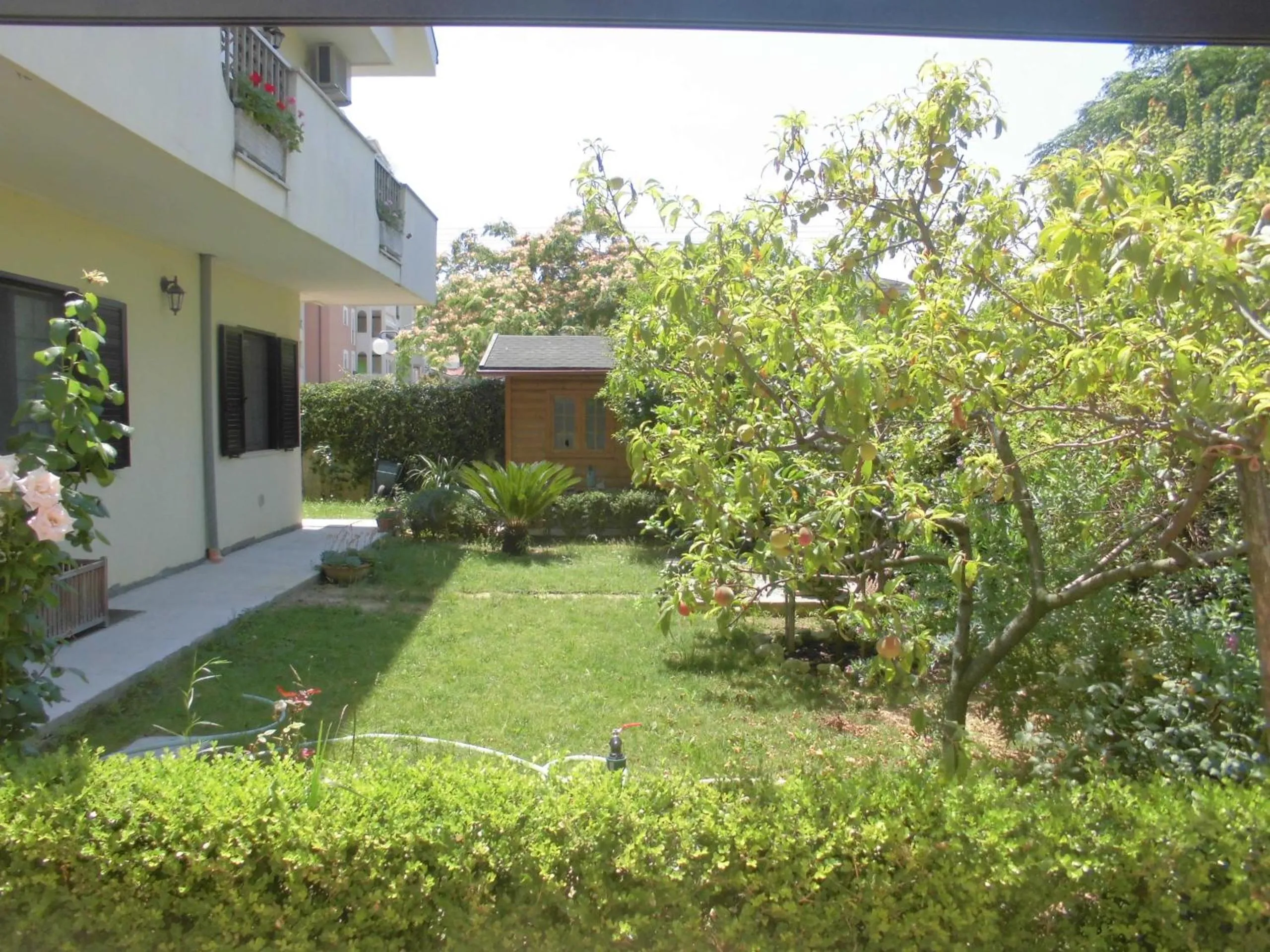 Garden in Il Cavalluccio Marino