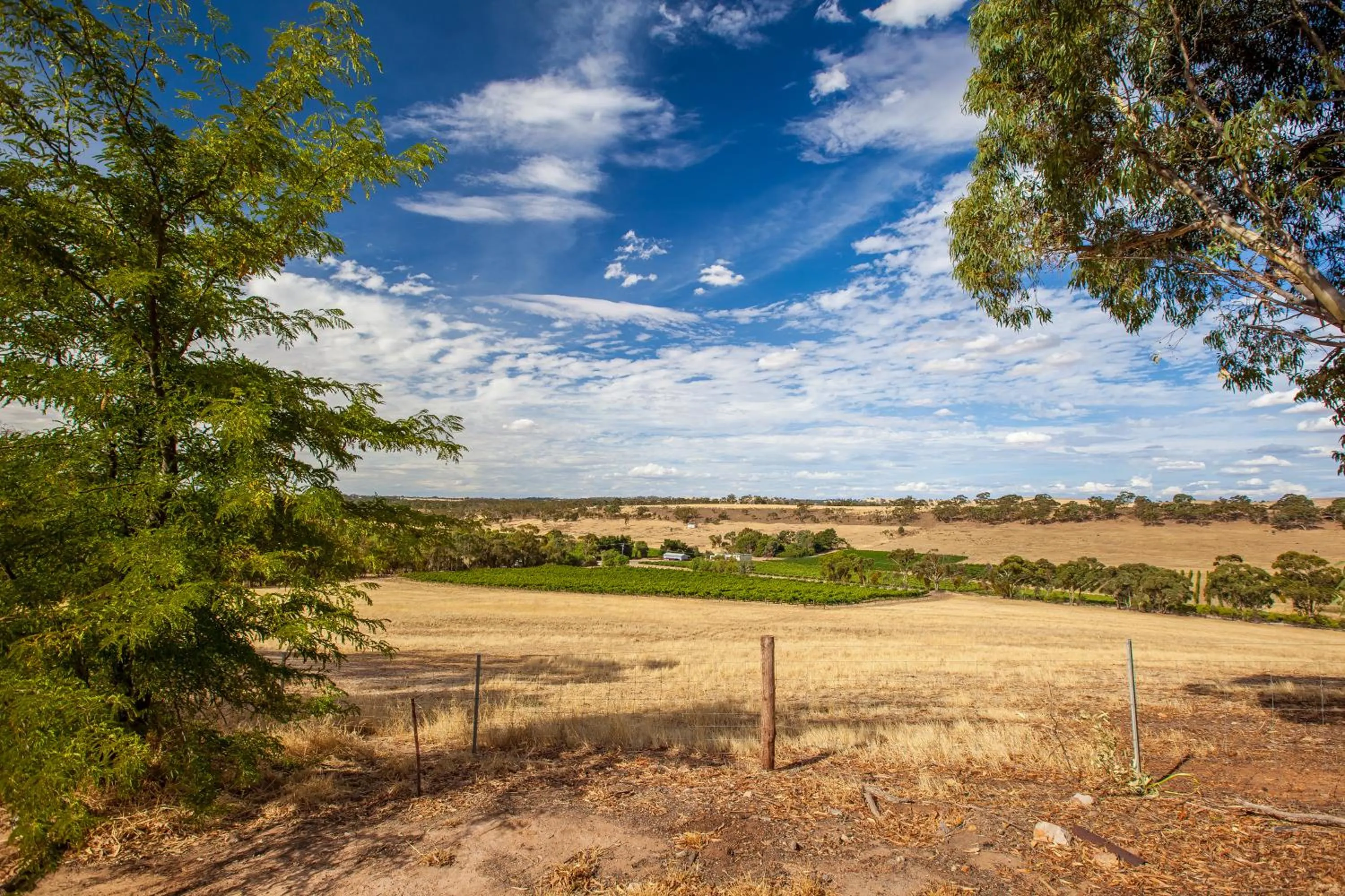 Bird's eye view in Neagles Retreat Villas