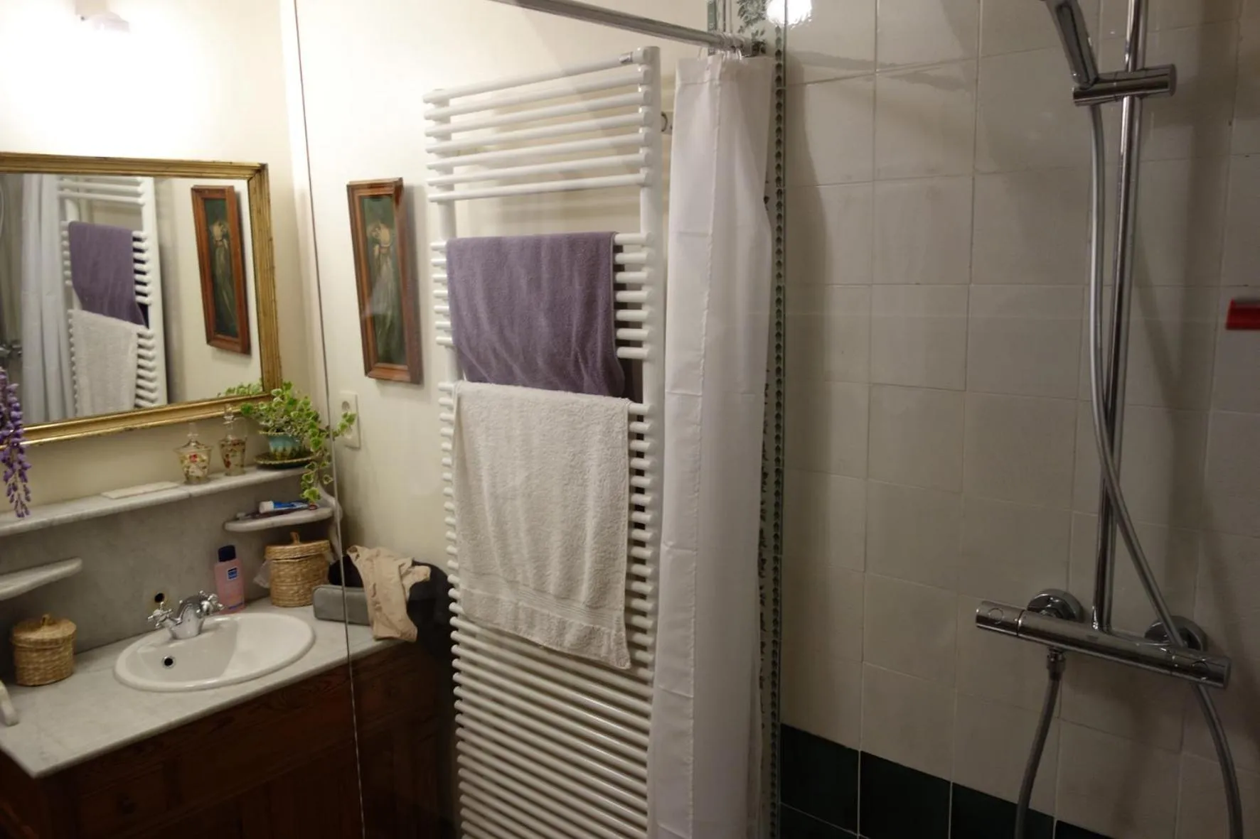 Bathroom in La Passiflore B&B