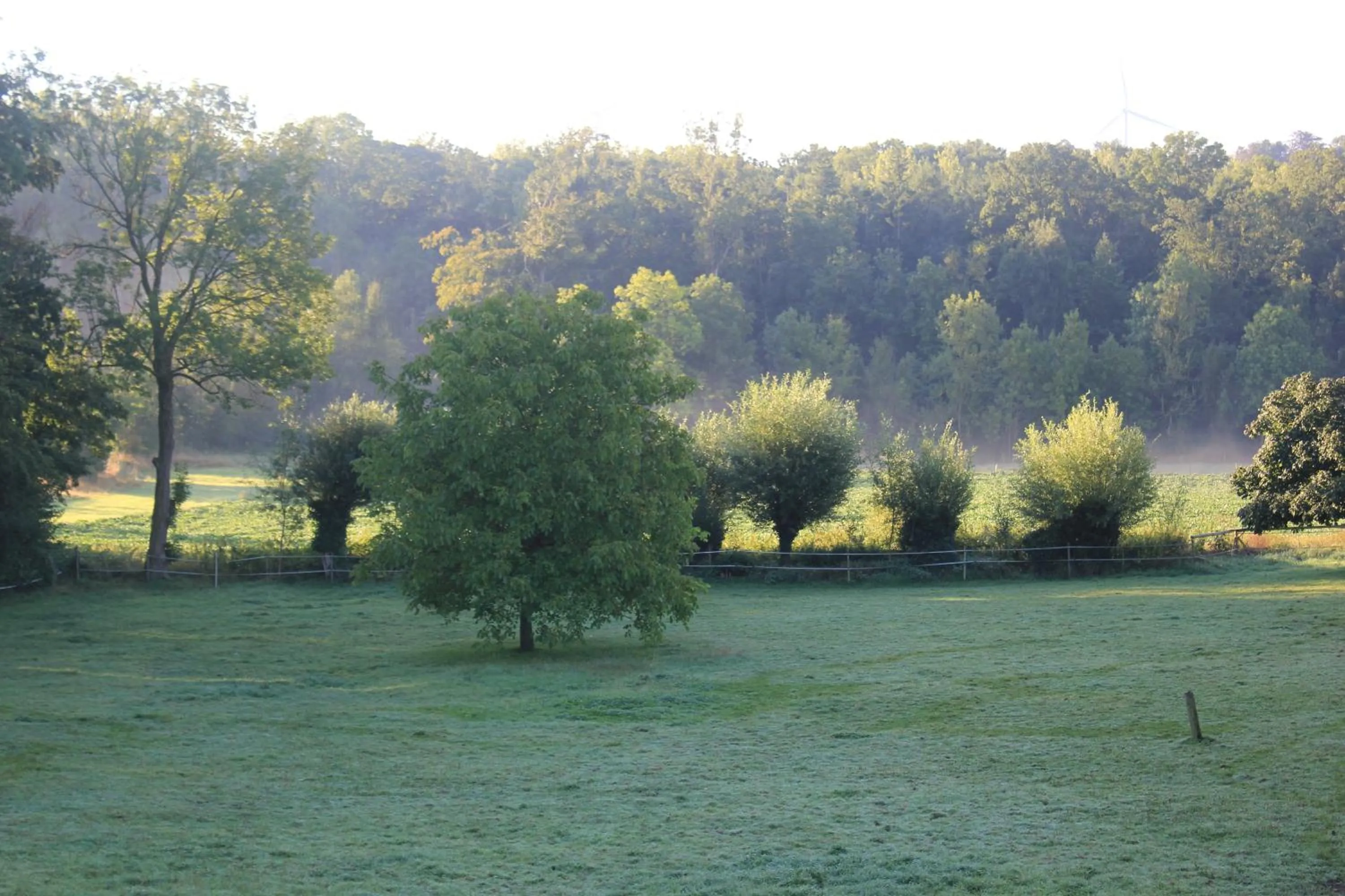 View (from property/room) in La Passiflore B&B