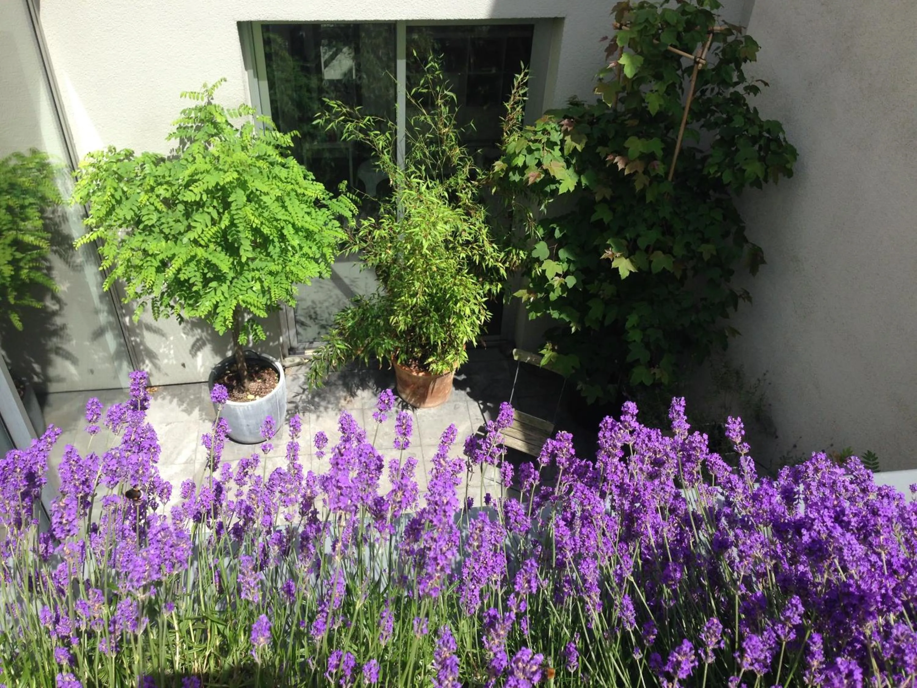 Decorative detail in Villa Yburg