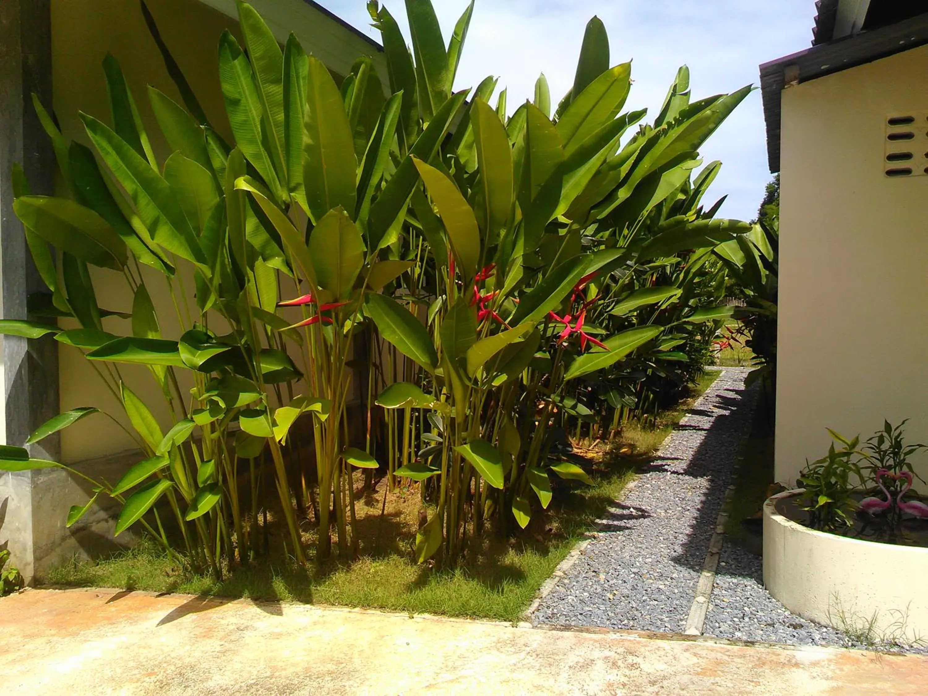 Property building in Khanom Garden Suite