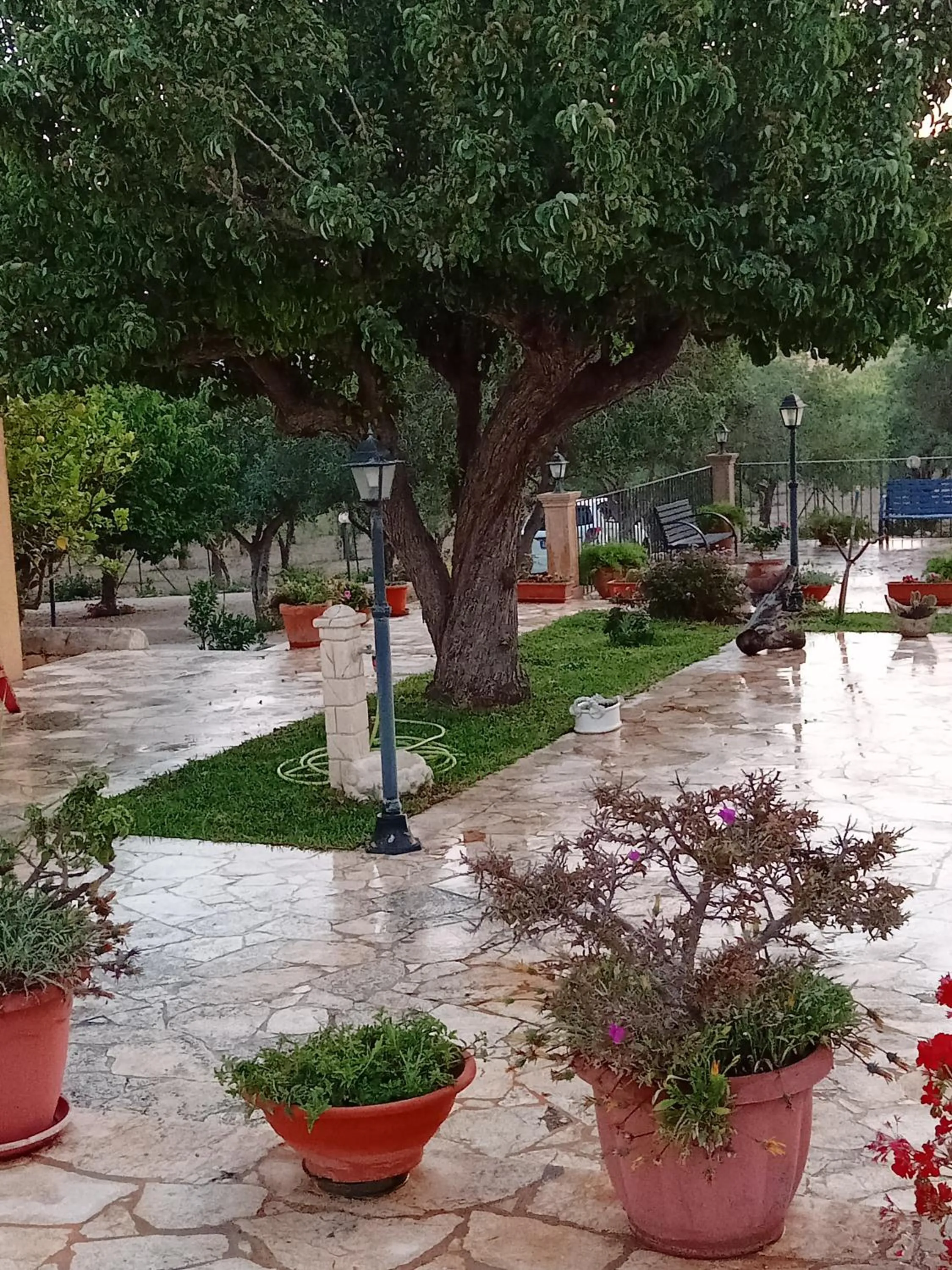Il Poggetto Marzamemi B&B