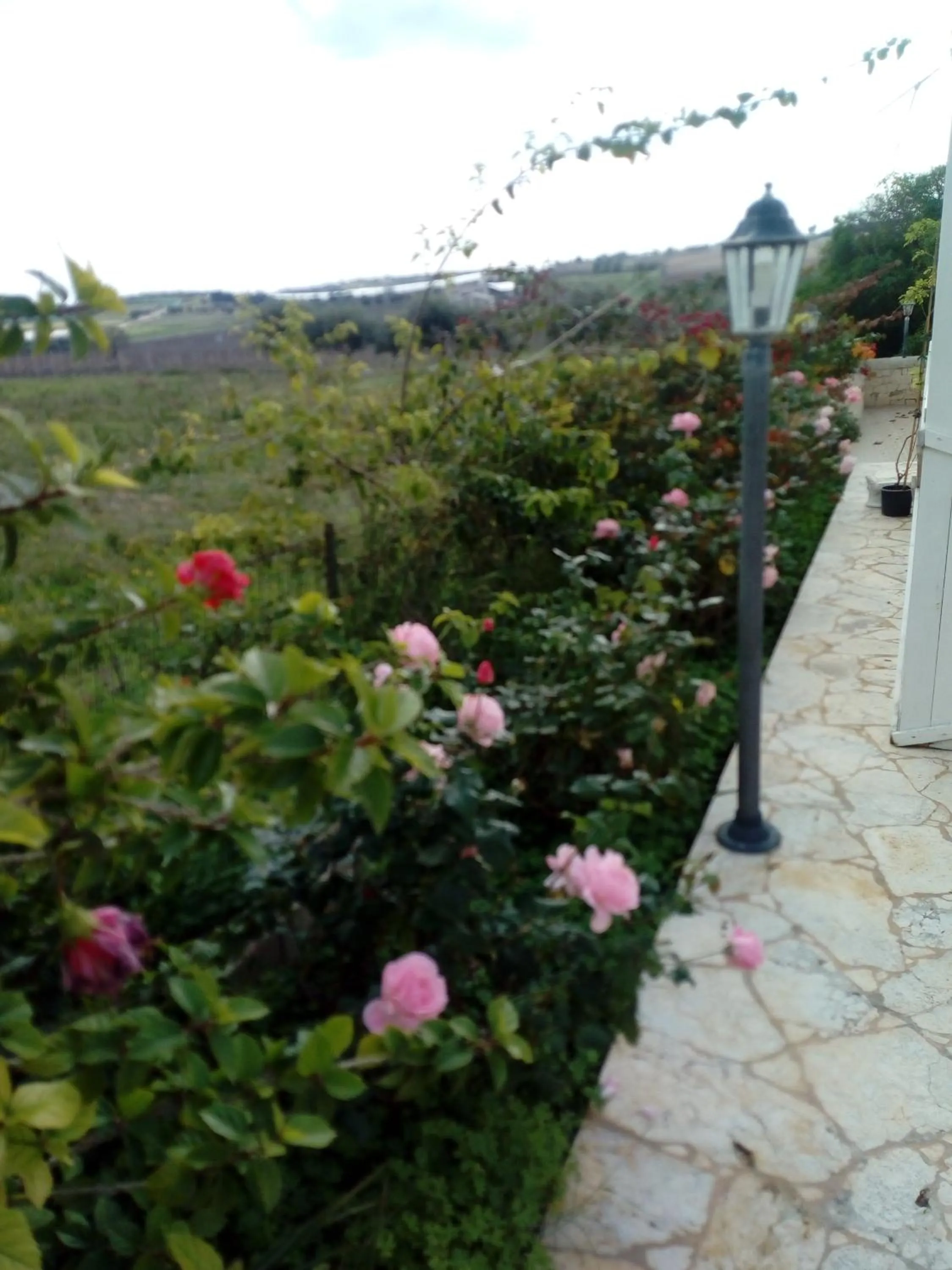 Il Poggetto Marzamemi B&B