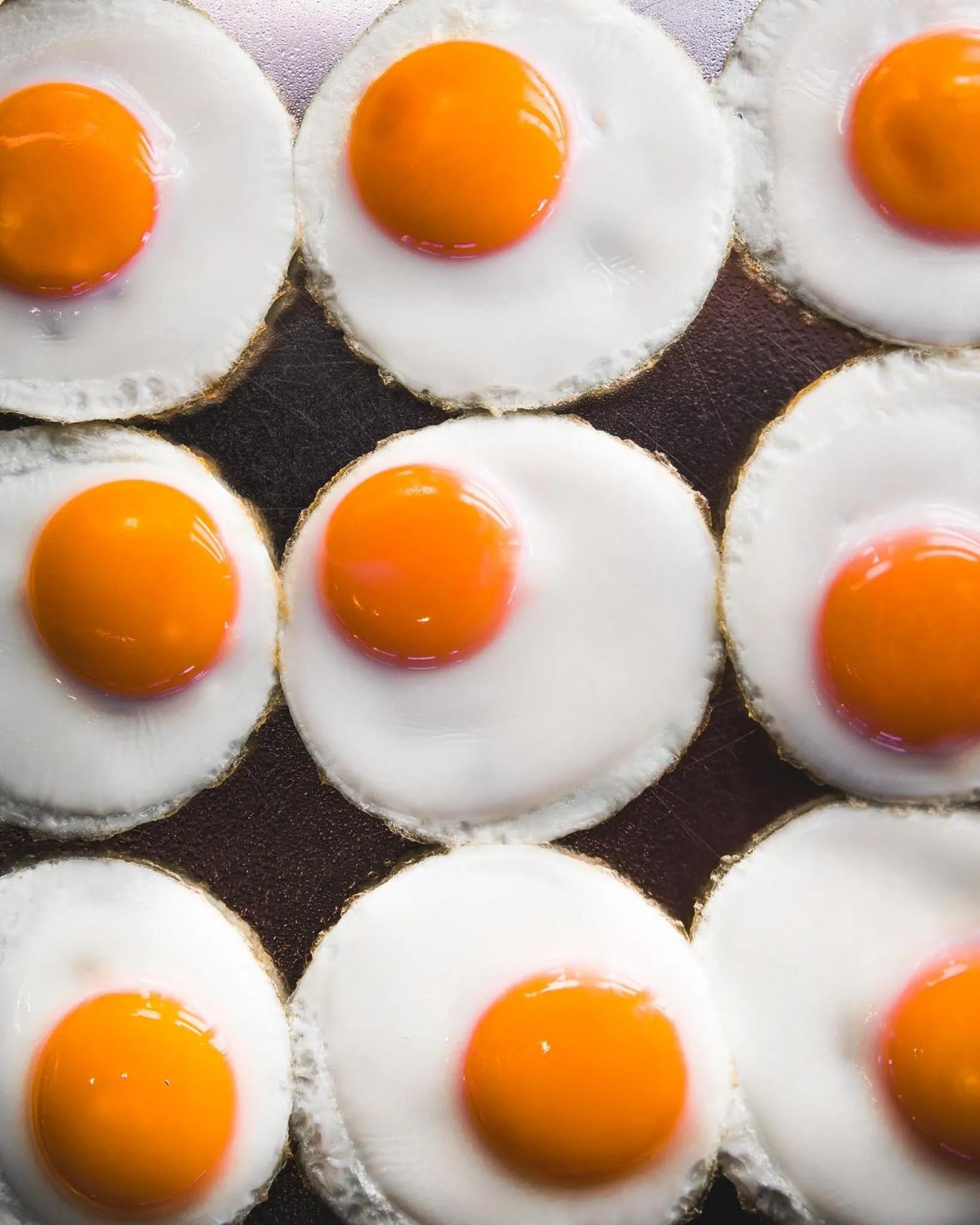 Food close-up in Fosshotel Glacier Lagoon