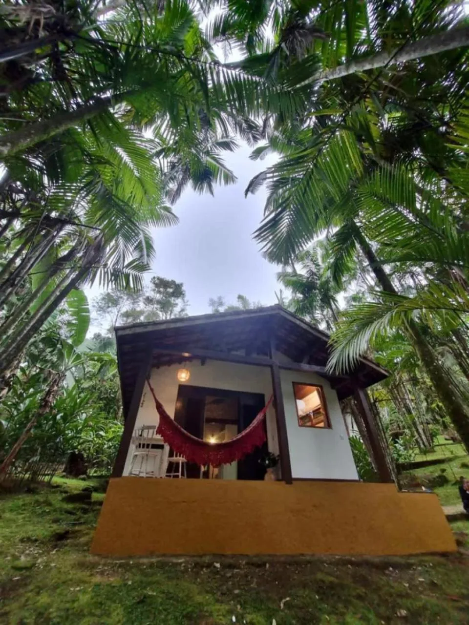 View (from property/room) in Pousada Bromélias