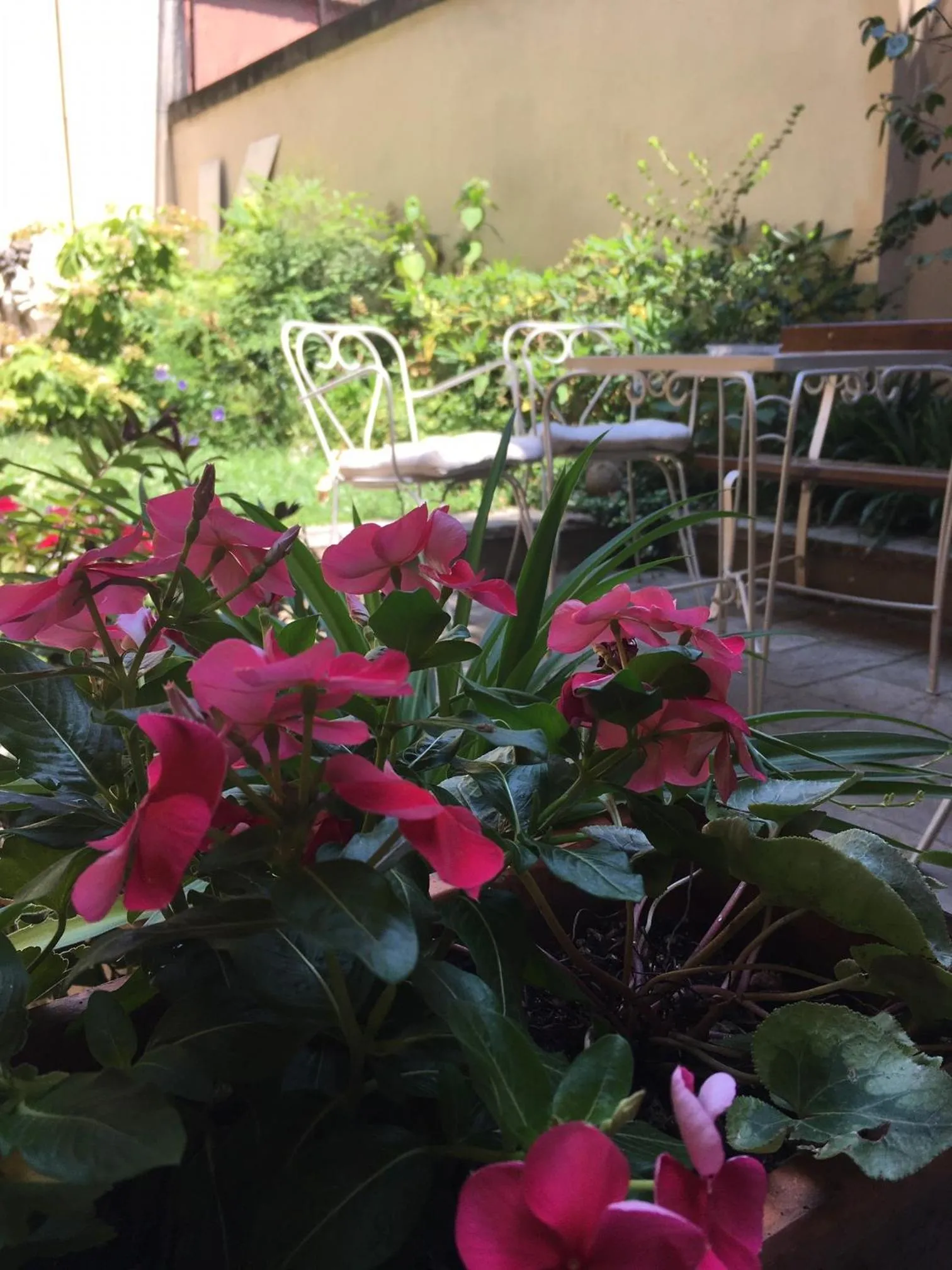 Patio in Casa Bertagni