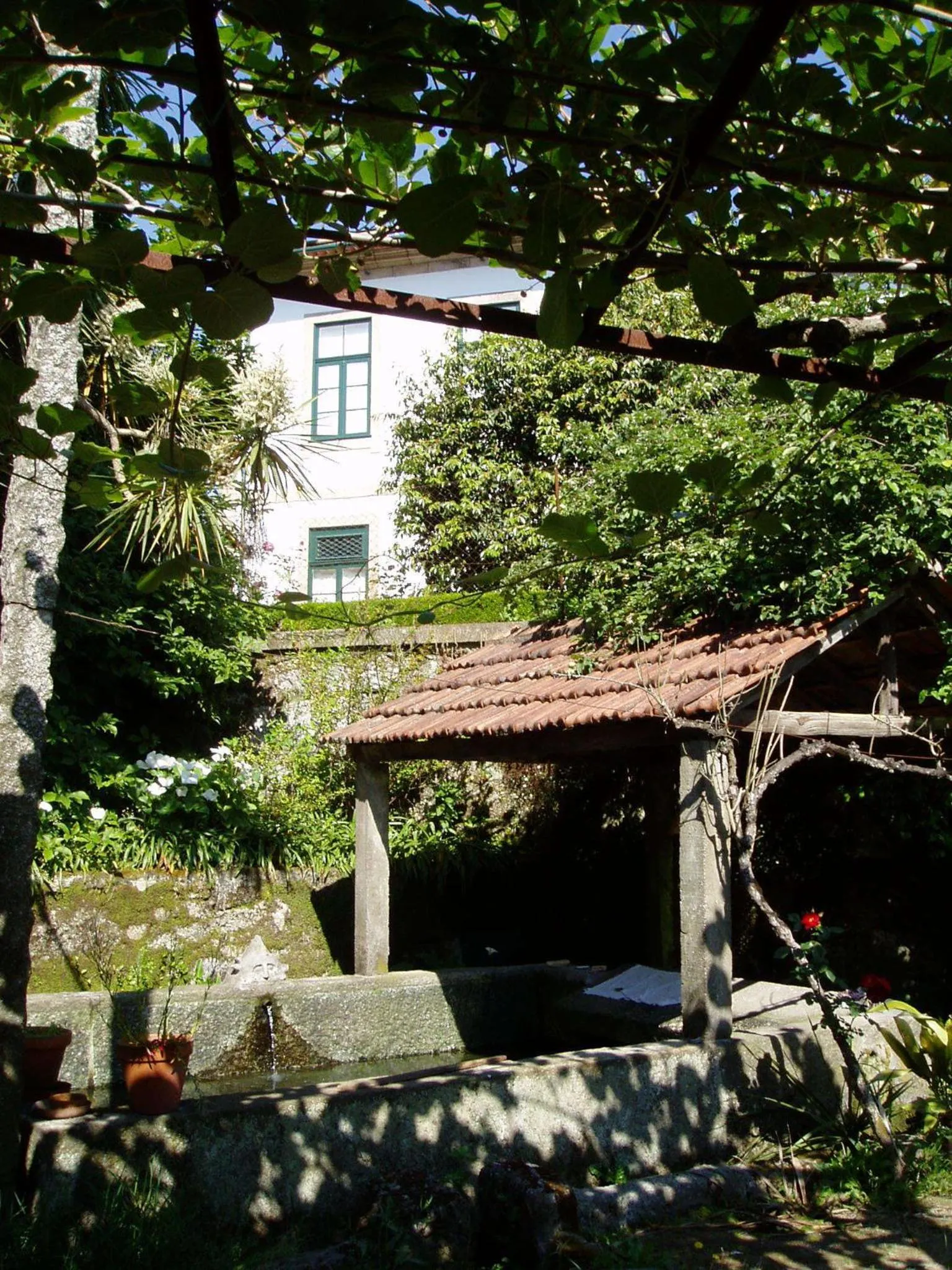 Garden in Estrebuela House