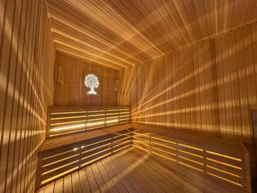 Sauna in Art Air hotel