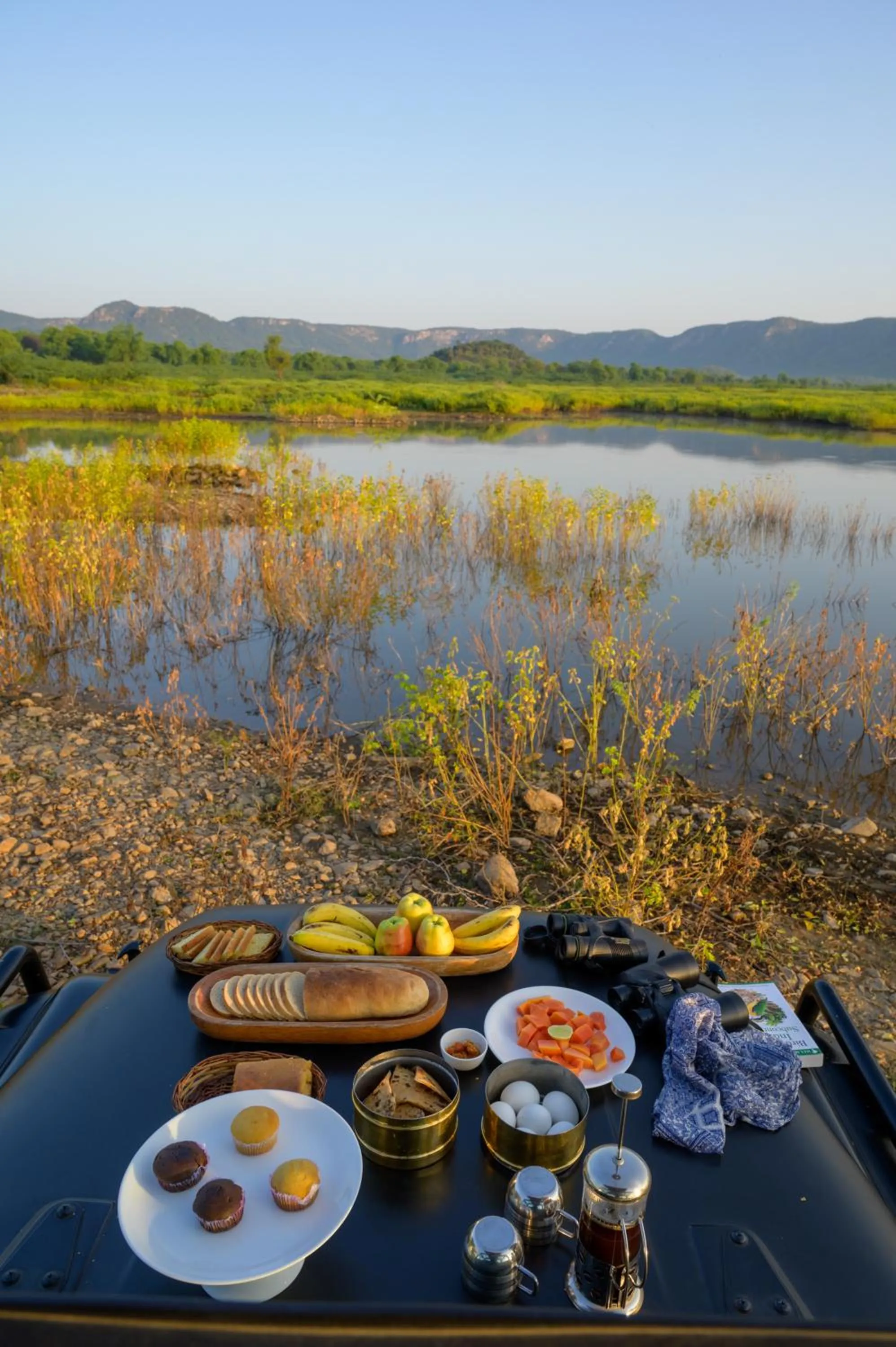 Activities in Utsav Camp Sariska