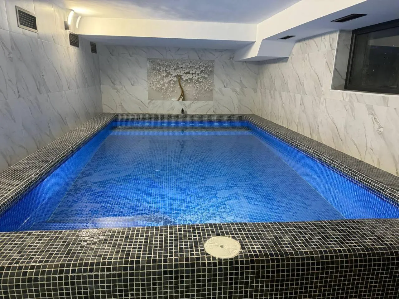 Swimming pool in Art Royal