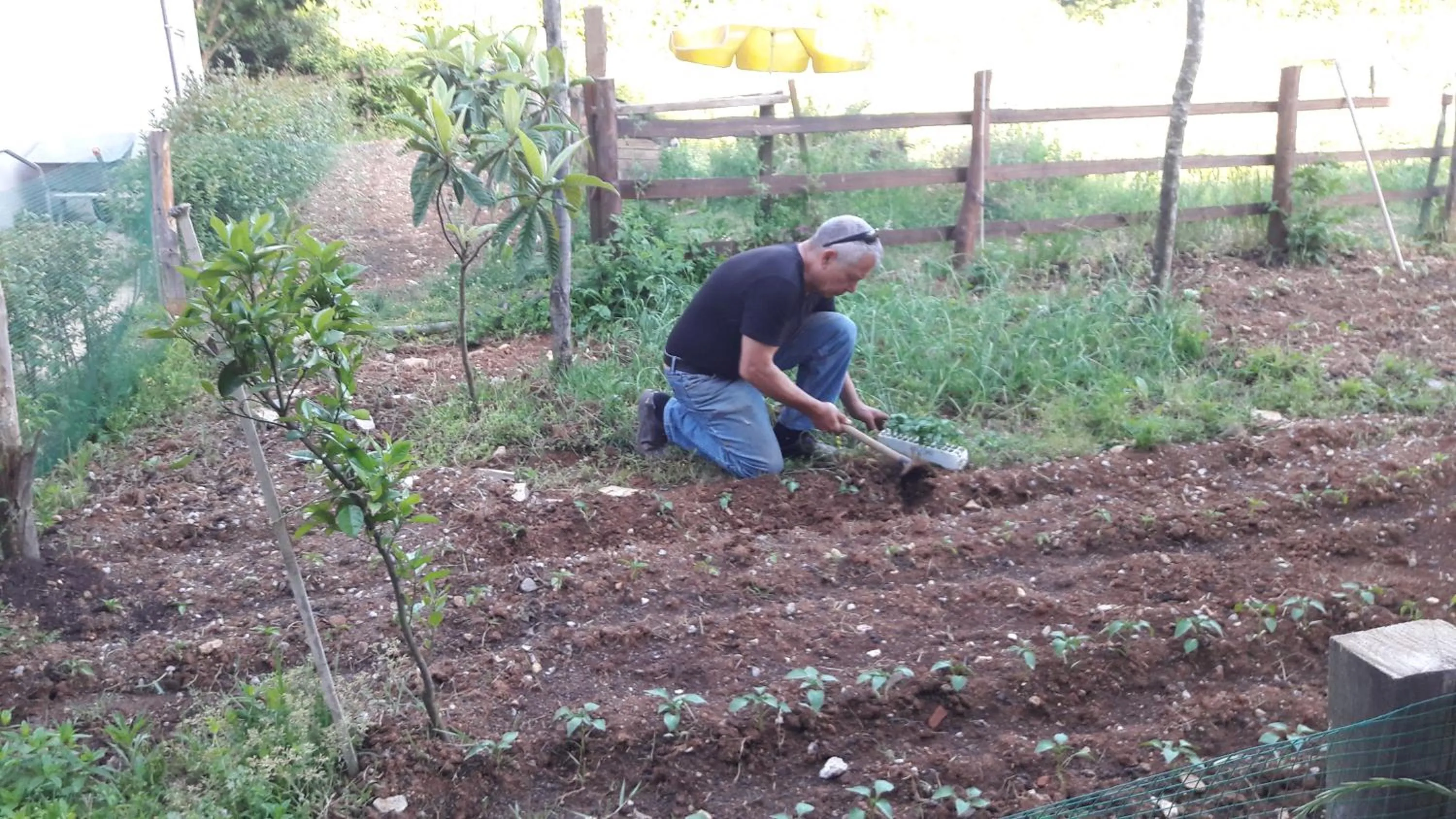 Property building in Kerpe Diem Otel