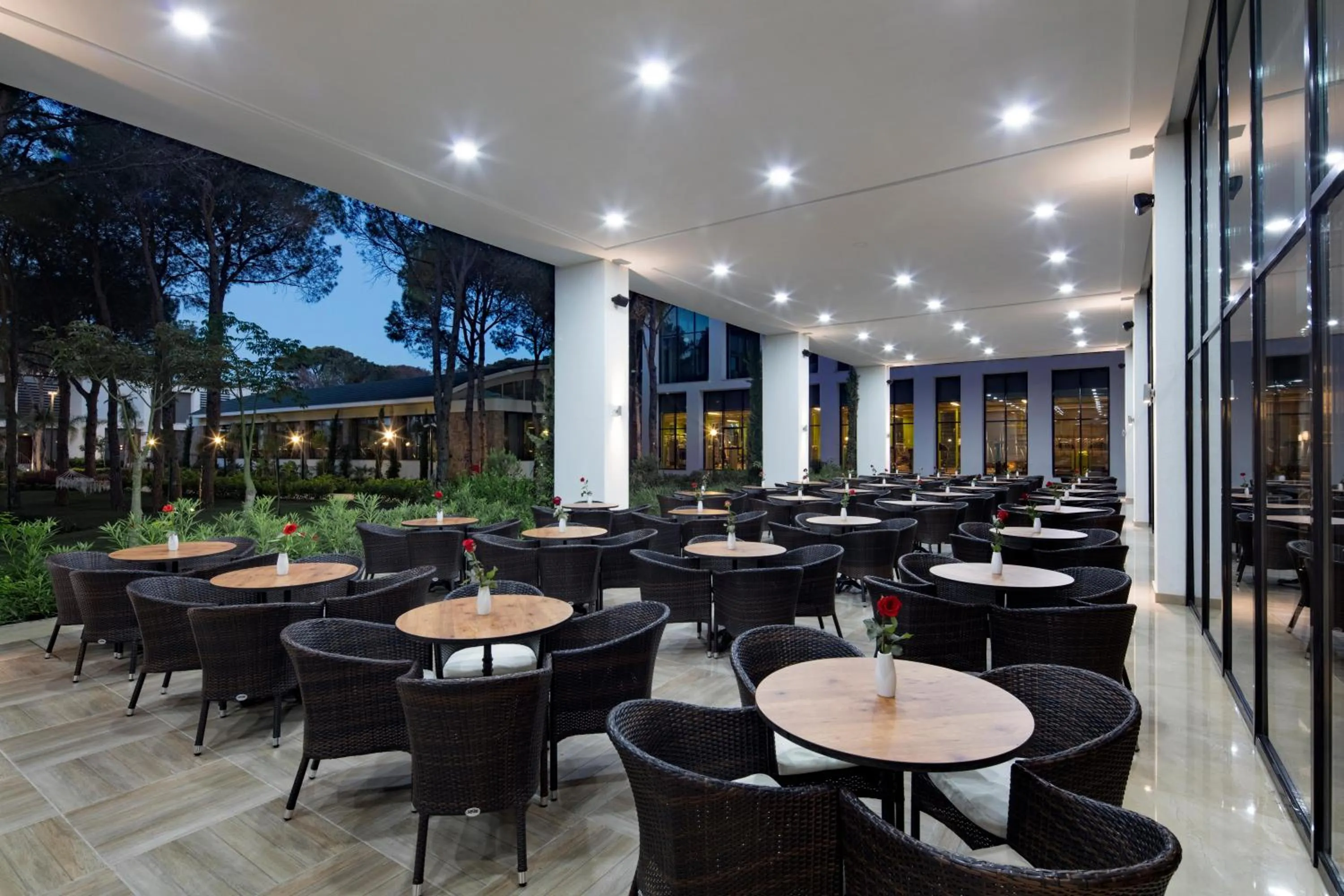 Lounge or bar in Trendy Lara