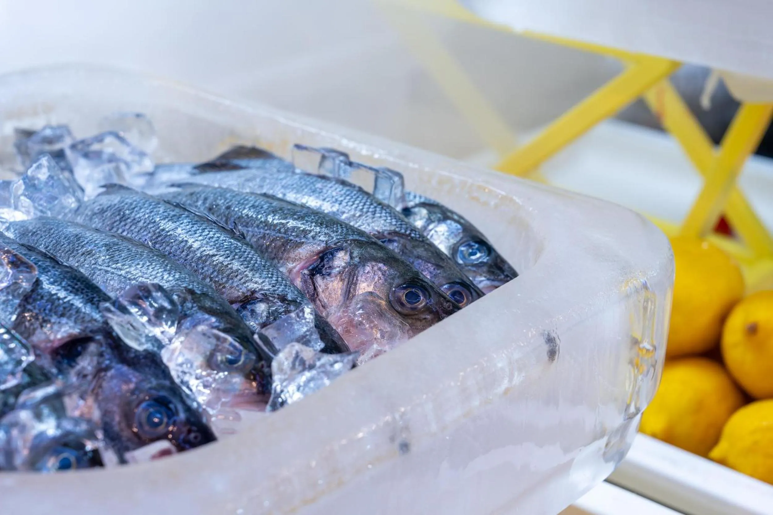 Restaurant/places to eat in Trendy Lara