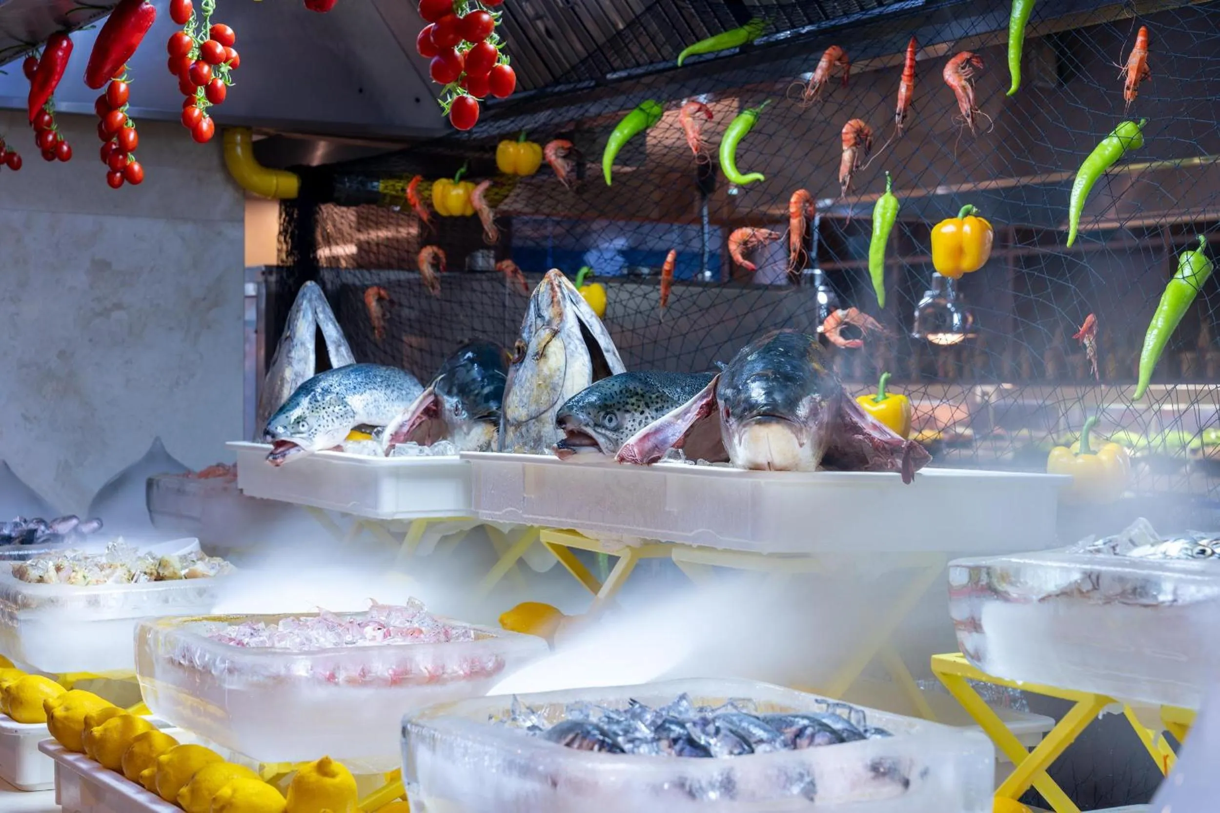 Restaurant/places to eat in Trendy Lara